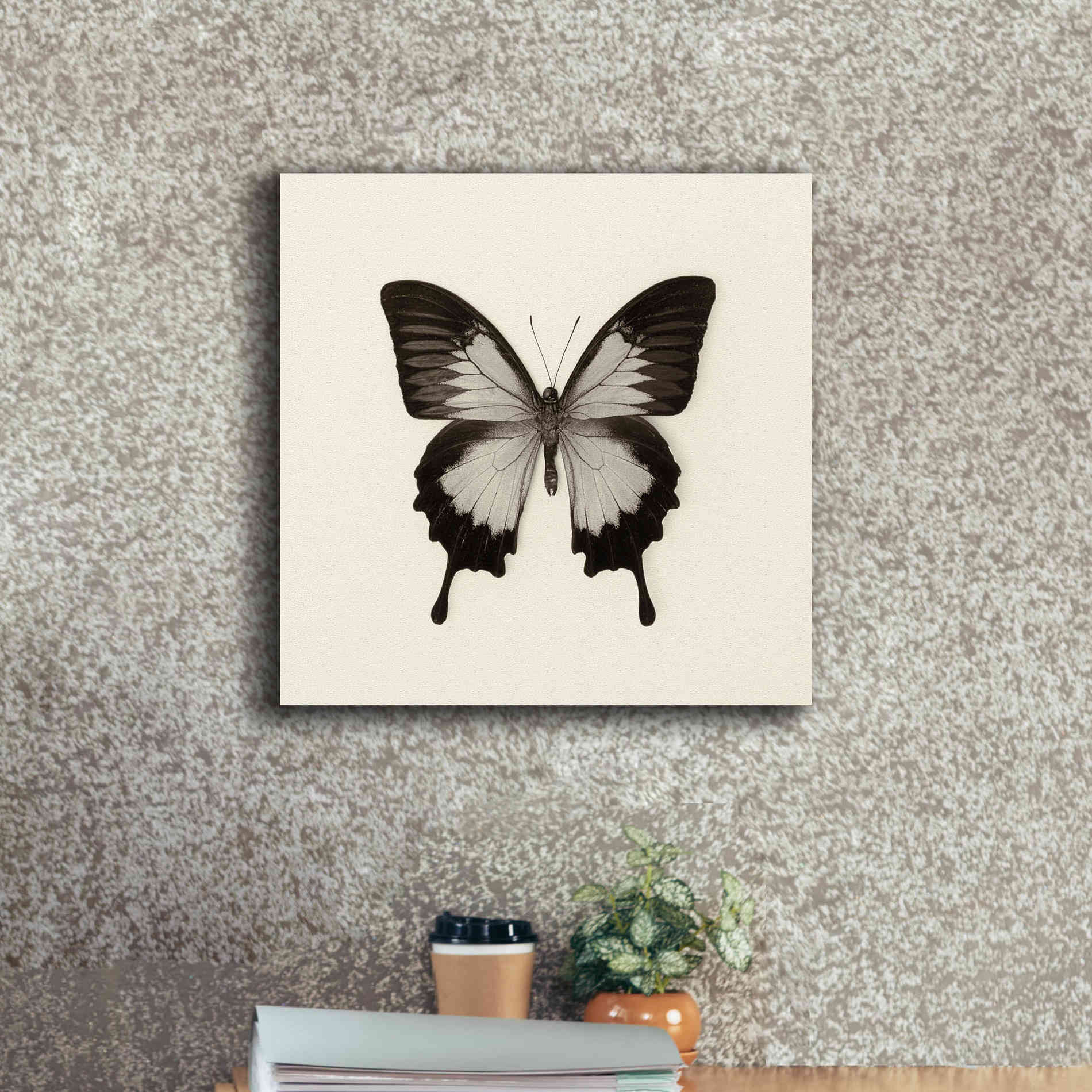 'Butterfly III B&W' by Debra Van Swearingen, Canvas Wall Art,18 x 18