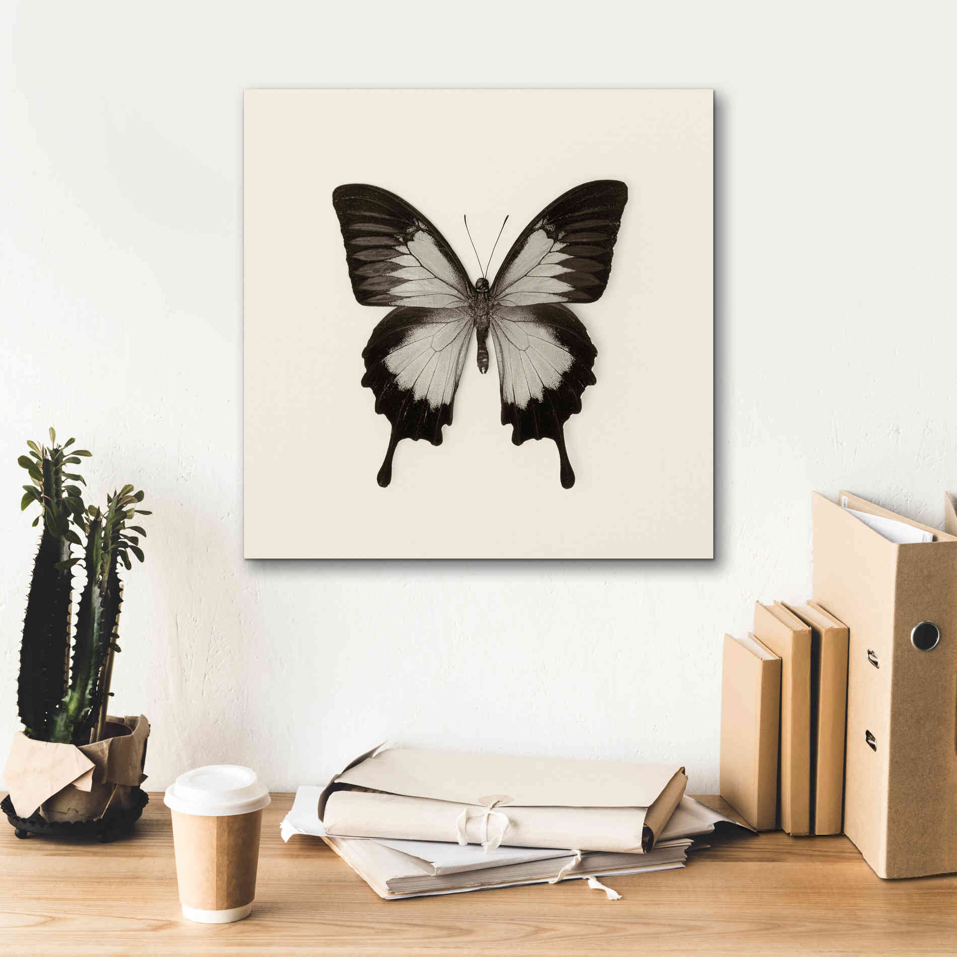 'Butterfly III B&W' by Debra Van Swearingen, Canvas Wall Art,18 x 18