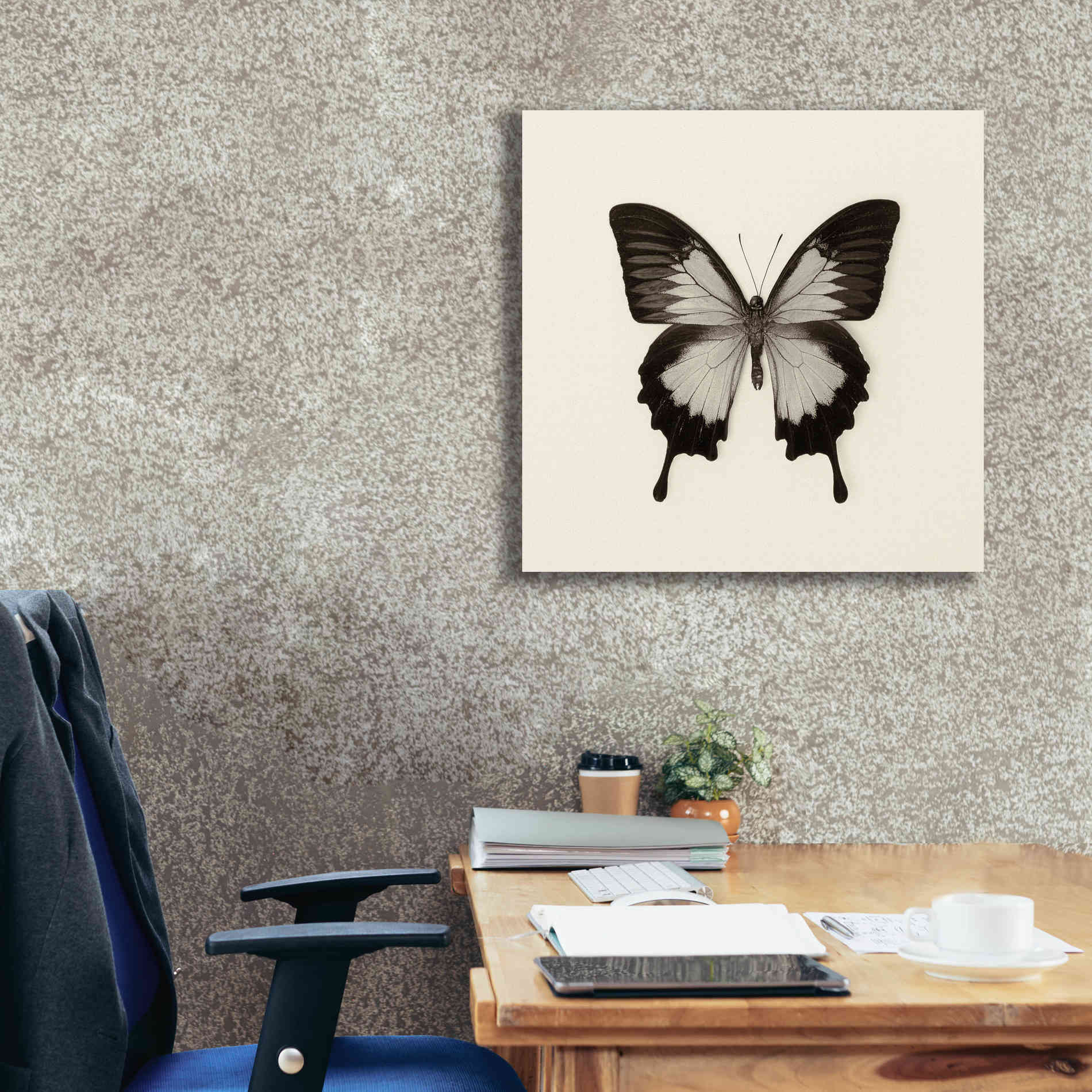 'Butterfly III B&W' by Debra Van Swearingen, Canvas Wall Art,26 x 26