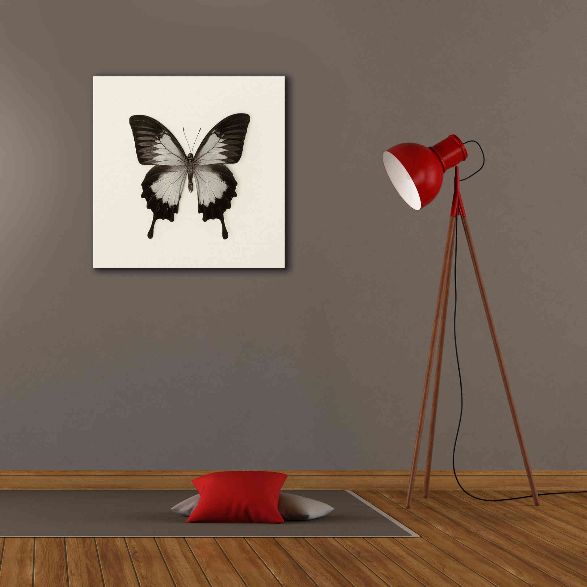 'Butterfly III B&W' by Debra Van Swearingen, Canvas Wall Art,26 x 26
