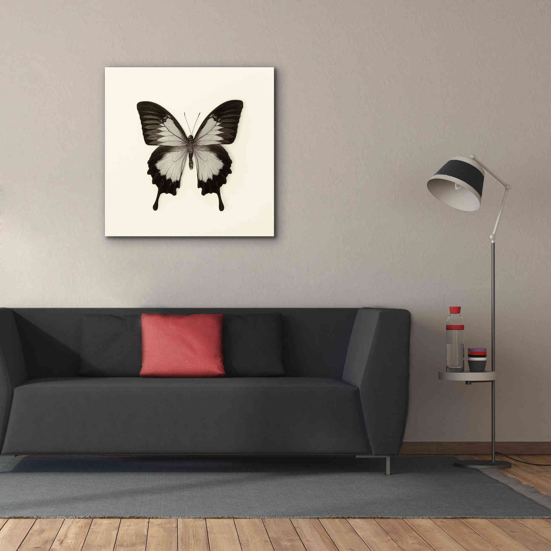 'Butterfly III B&W' by Debra Van Swearingen, Canvas Wall Art,37 x 37