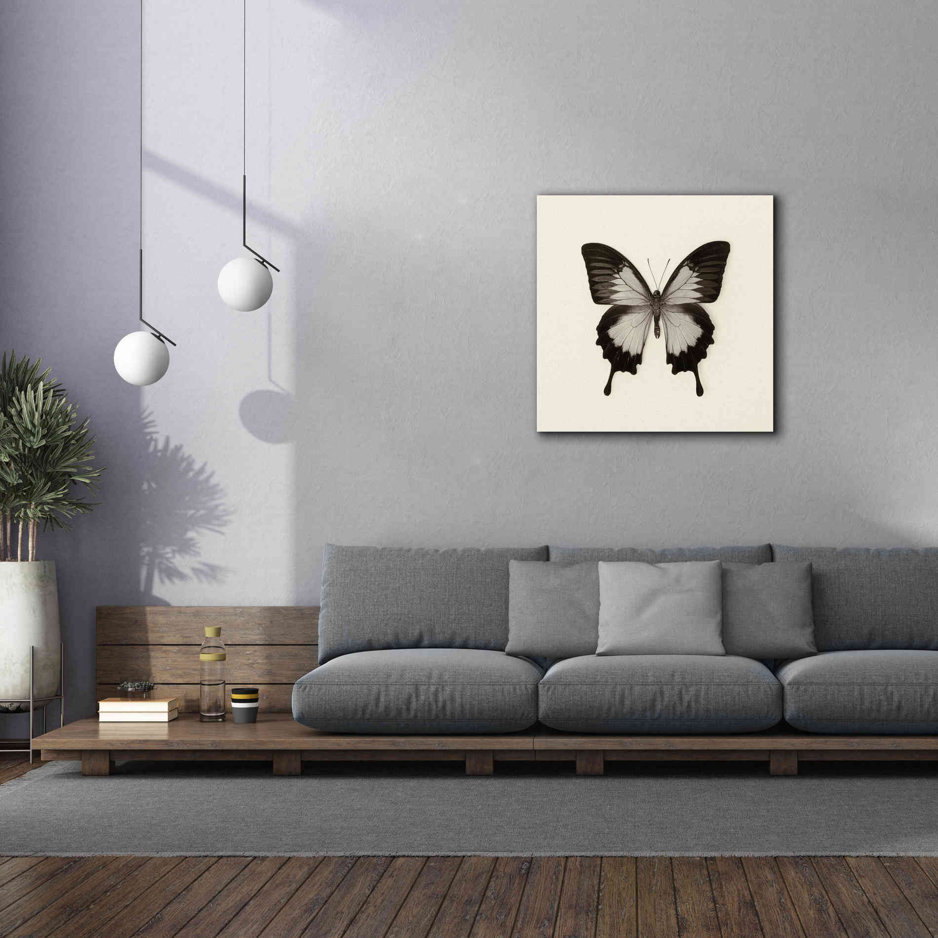'Butterfly III B&W' by Debra Van Swearingen, Canvas Wall Art,37 x 37