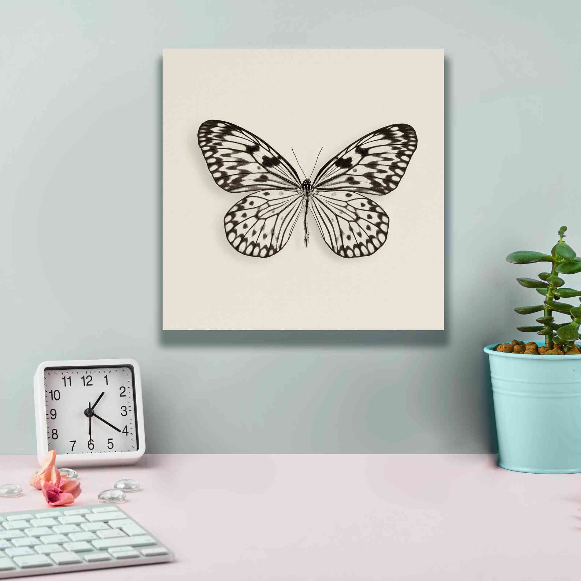 'Butterfly V B&W' by Debra Van Swearingen, Canvas Wall Art,12 x 12
