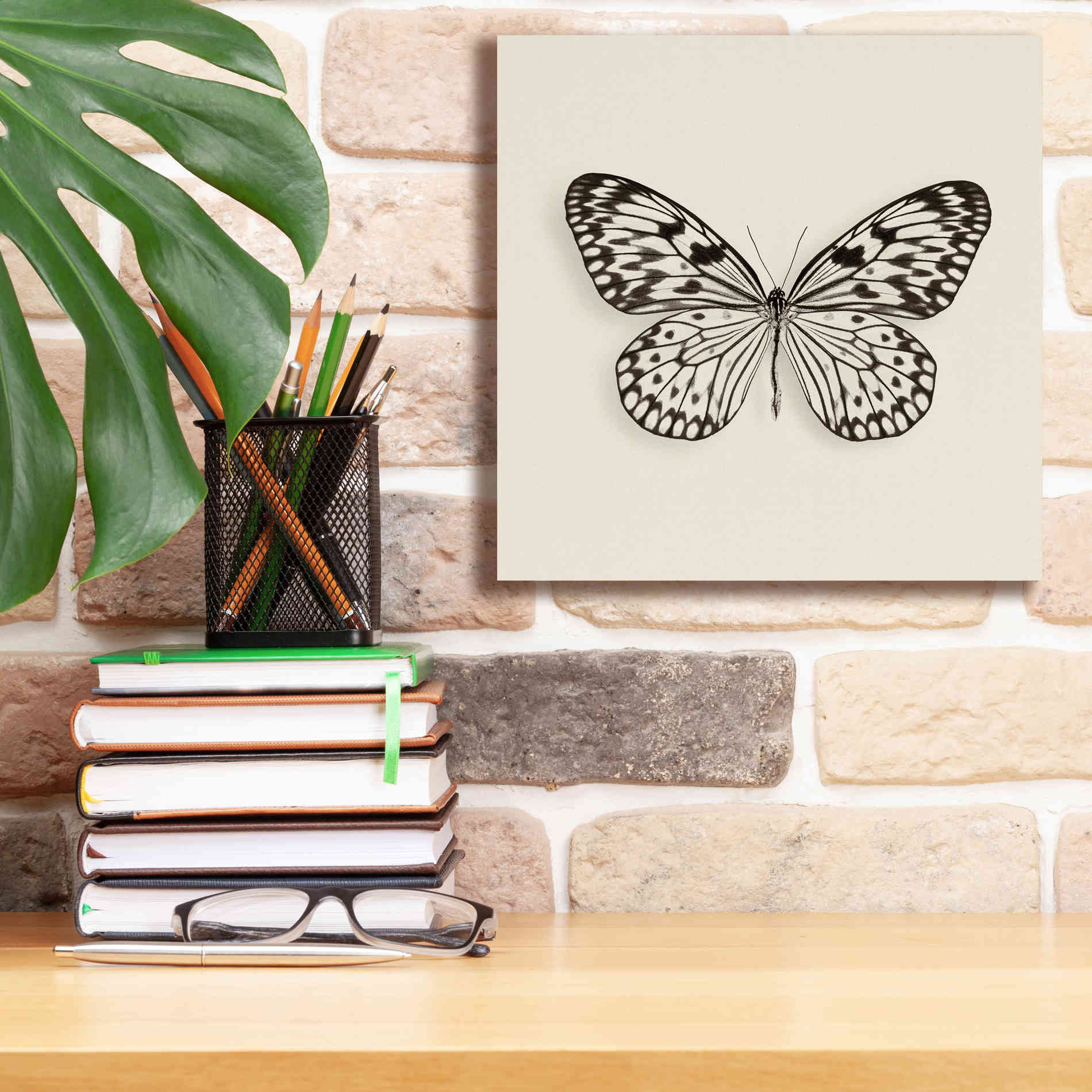 'Butterfly V B&W' by Debra Van Swearingen, Canvas Wall Art,12 x 12