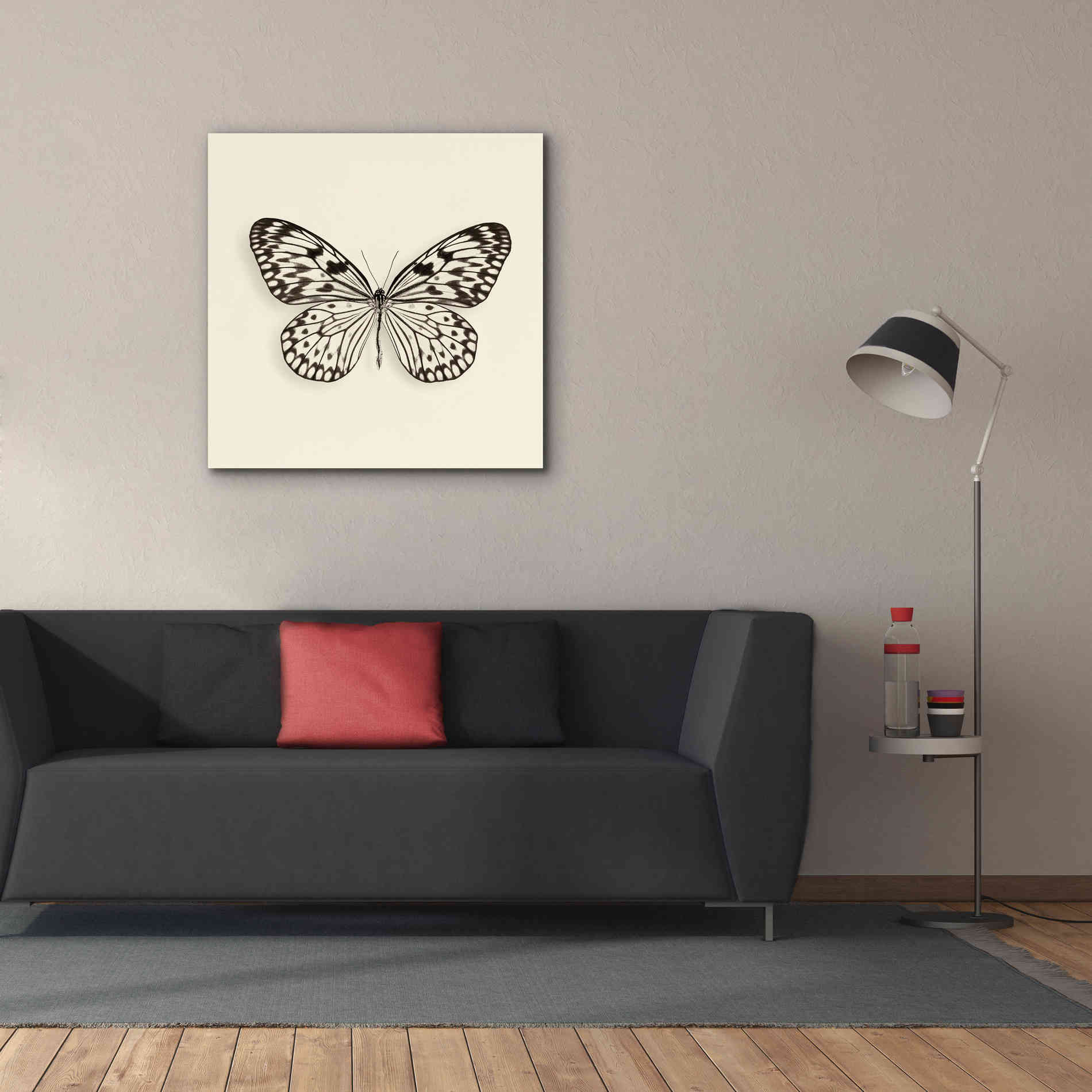 'Butterfly V B&W' by Debra Van Swearingen, Canvas Wall Art,37 x 37