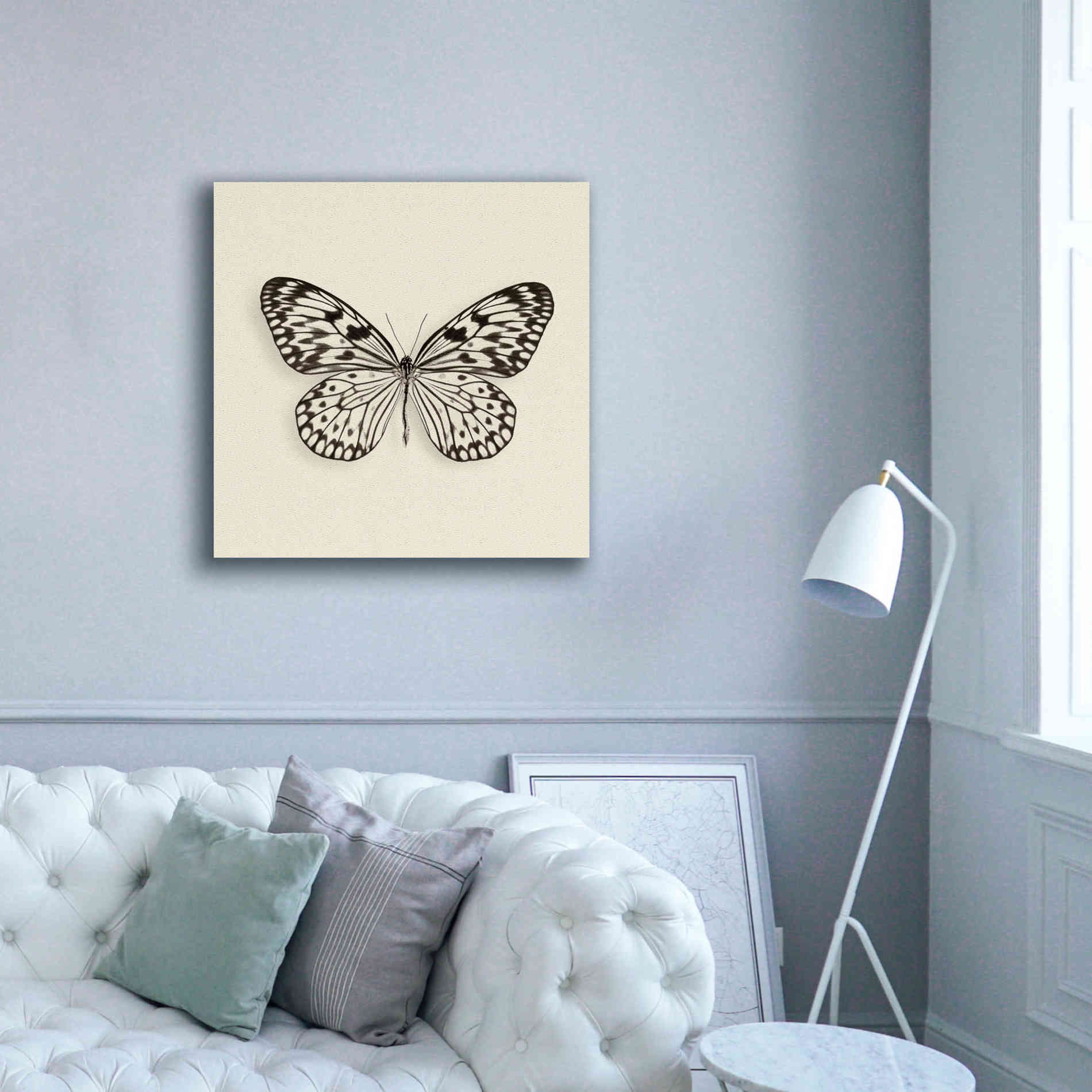 'Butterfly V B&W' by Debra Van Swearingen, Canvas Wall Art,37 x 37