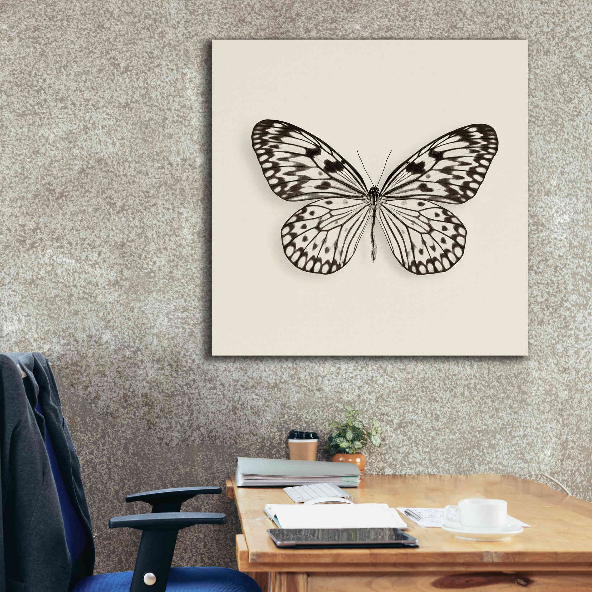 'Butterfly V B&W' by Debra Van Swearingen, Canvas Wall Art,37 x 37