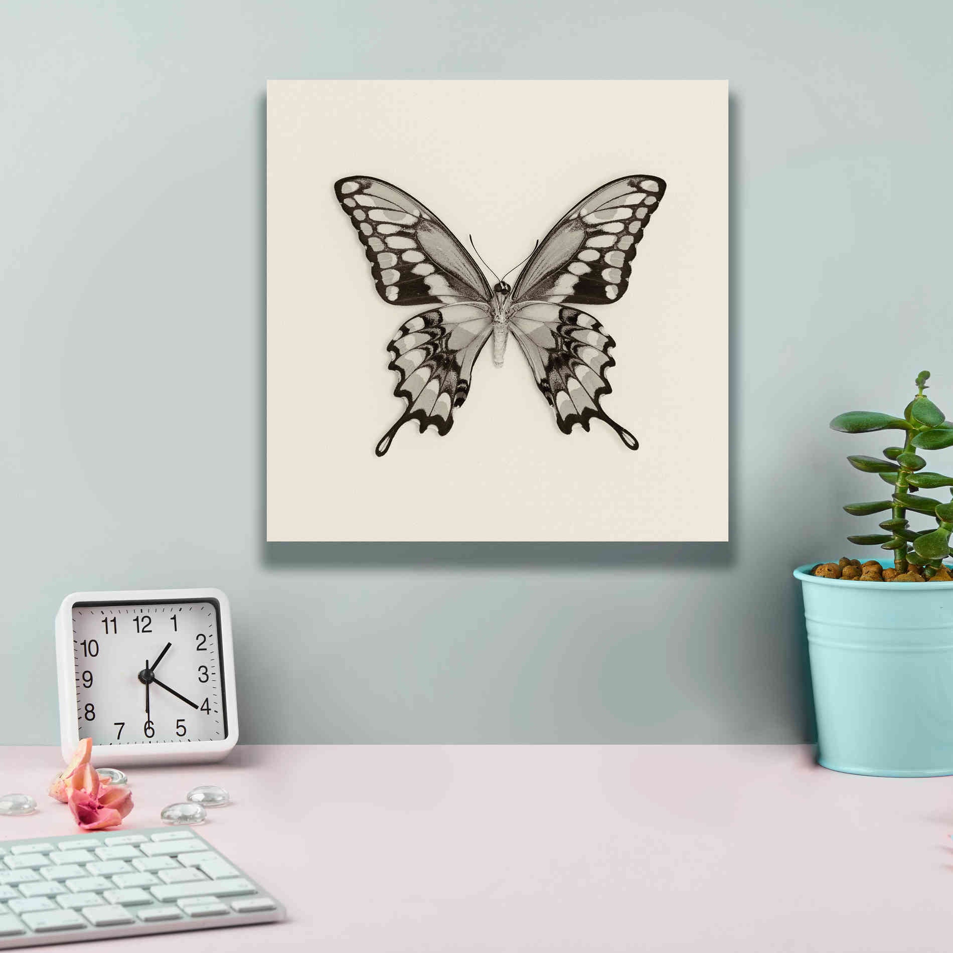 'Butterfly VI B&W' by Debra Van Swearingen, Canvas Wall Art,12 x 12
