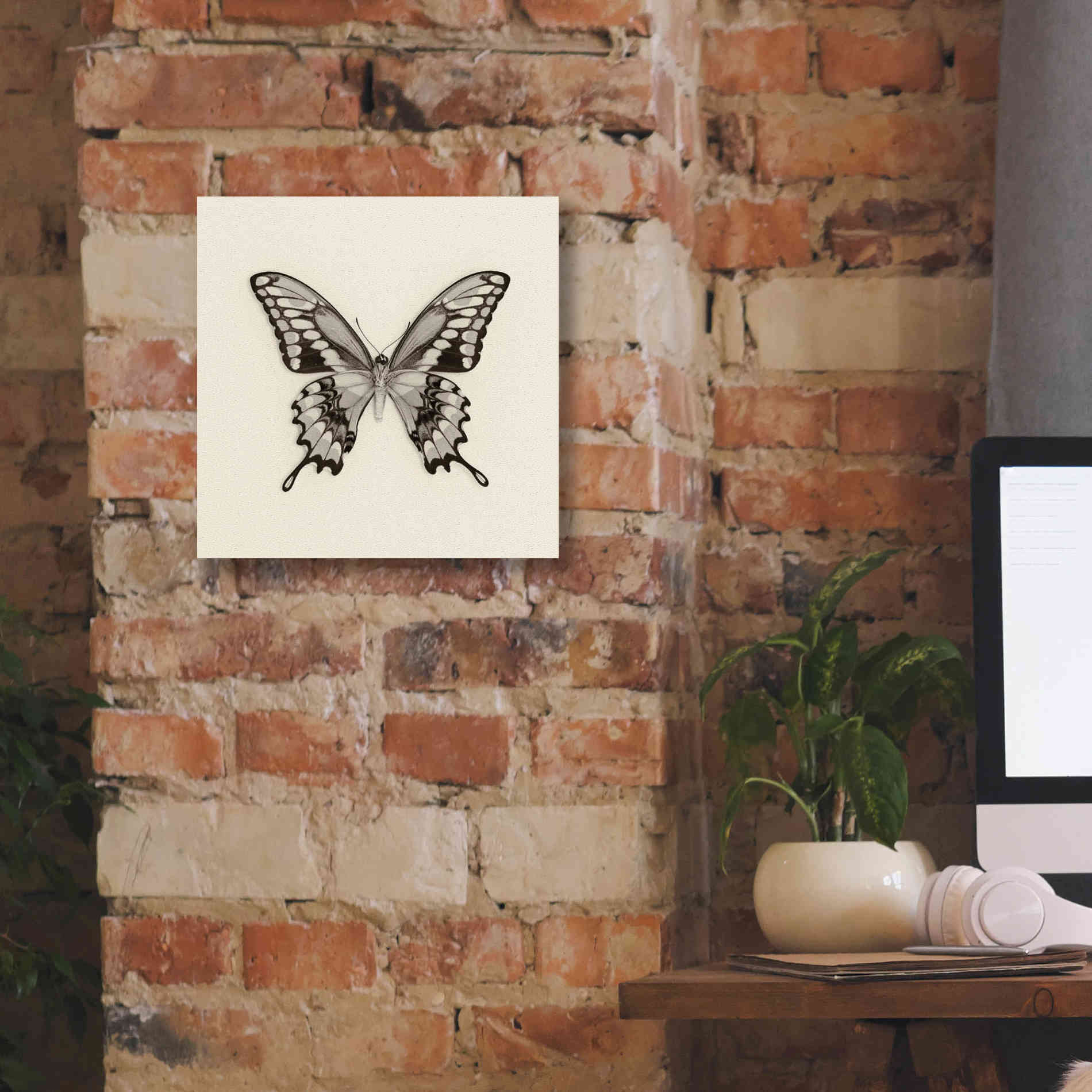 'Butterfly VI B&W' by Debra Van Swearingen, Canvas Wall Art,12 x 12