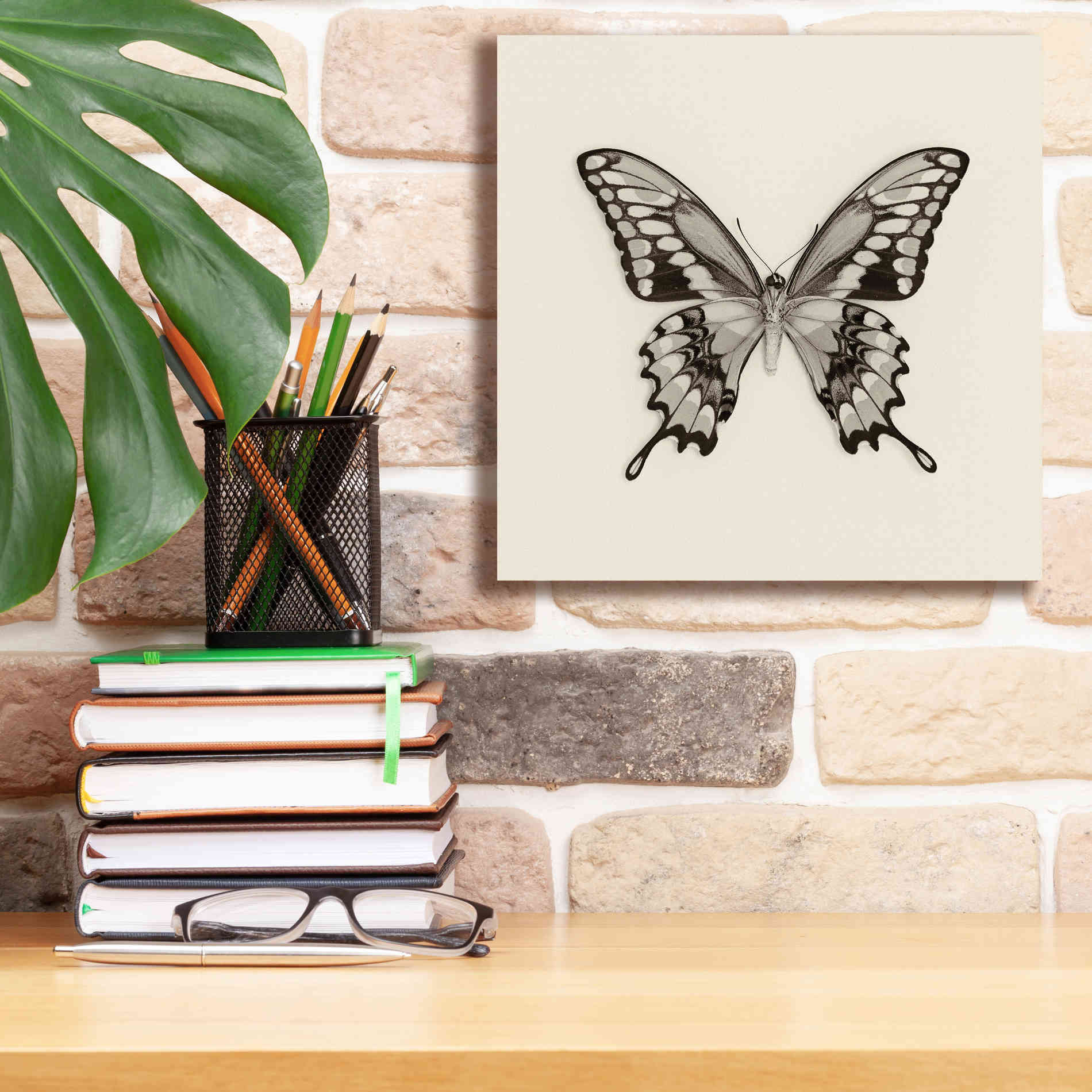 'Butterfly VI B&W' by Debra Van Swearingen, Canvas Wall Art,12 x 12