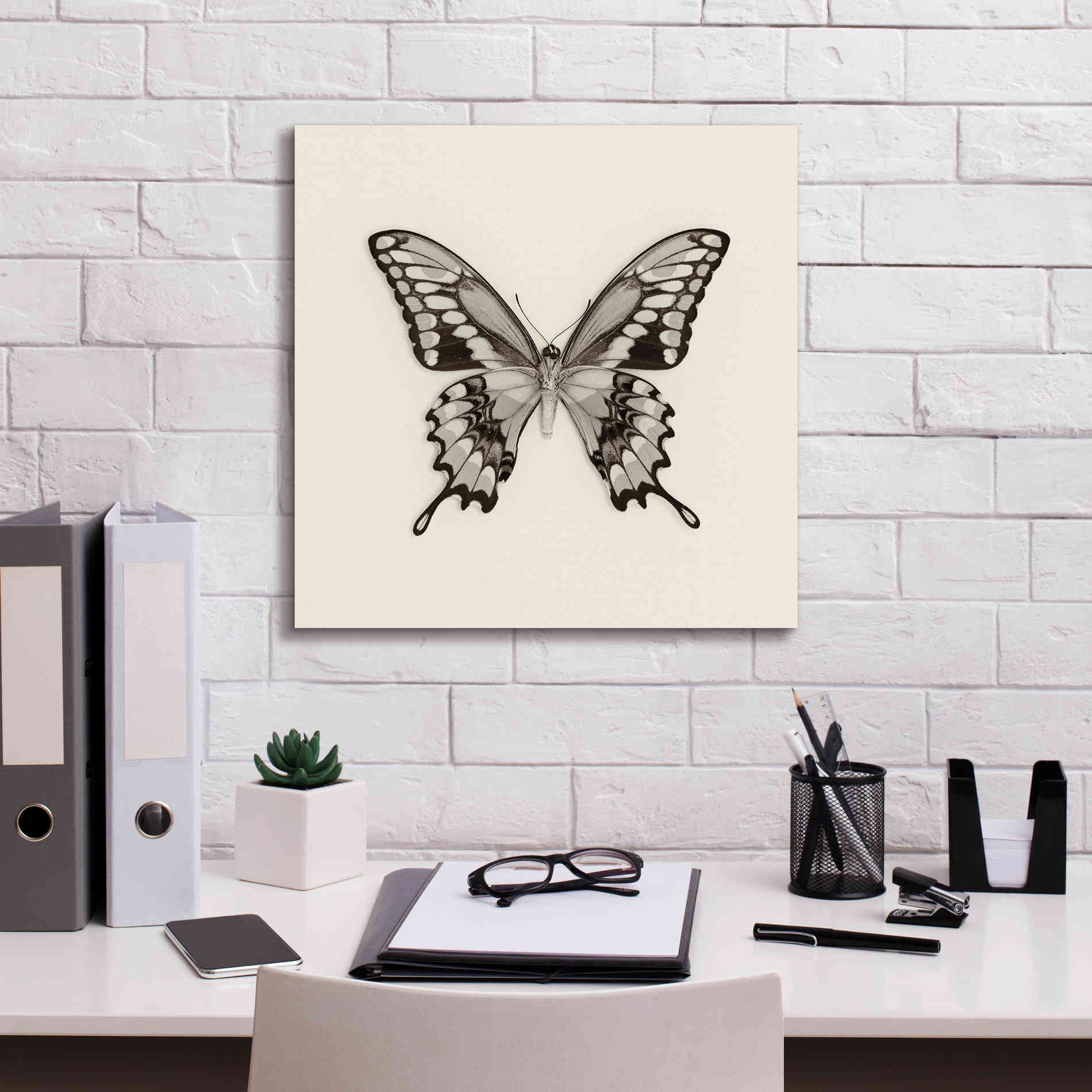 'Butterfly VI B&W' by Debra Van Swearingen, Canvas Wall Art,18 x 18
