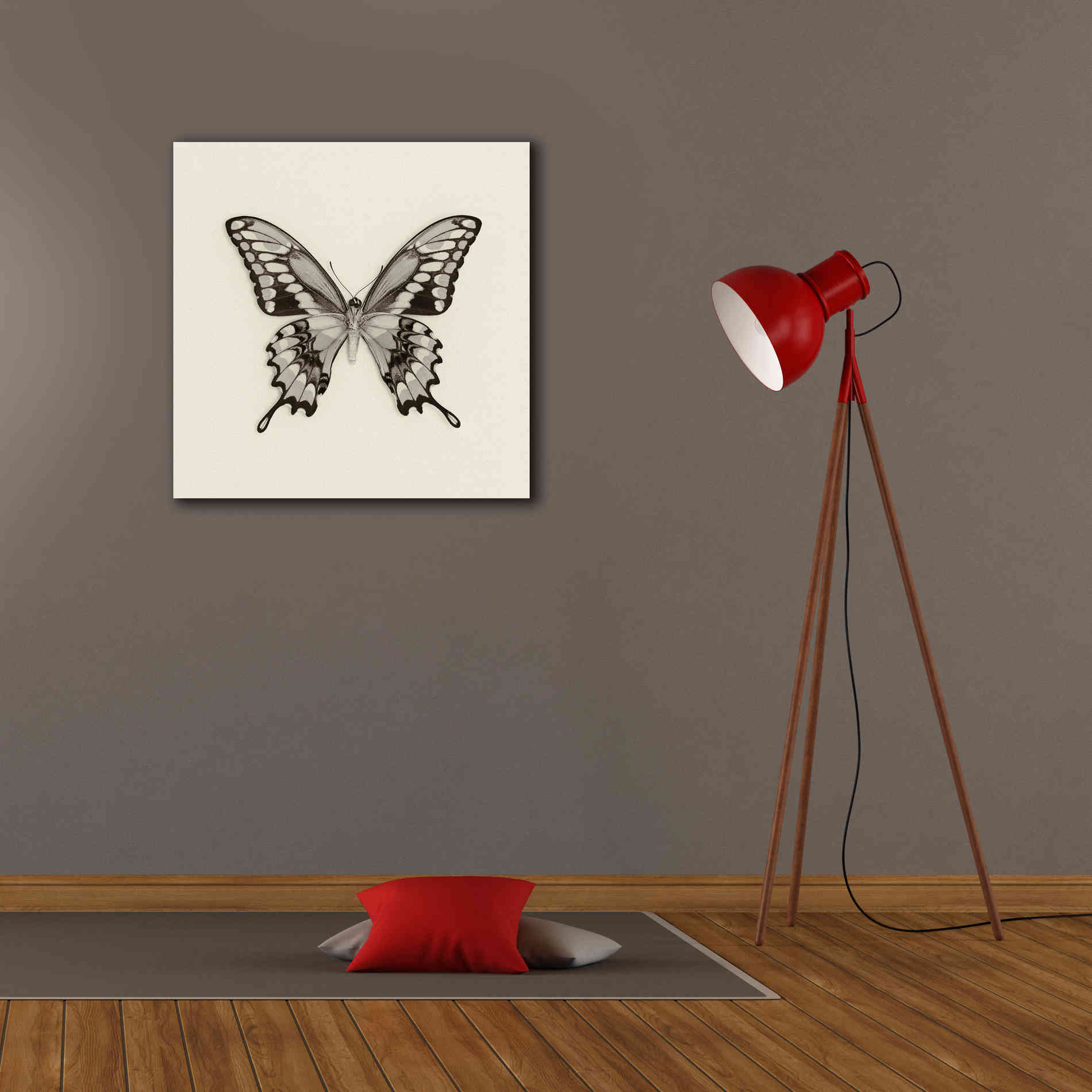 'Butterfly VI B&W' by Debra Van Swearingen, Canvas Wall Art,26 x 26