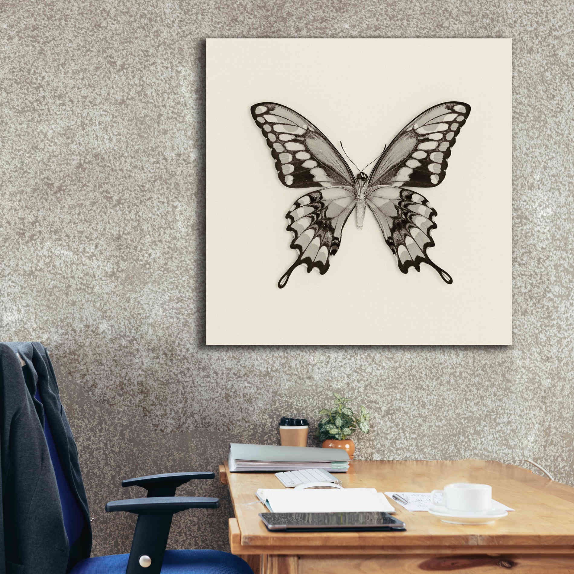 'Butterfly VI B&W' by Debra Van Swearingen, Canvas Wall Art,37 x 37