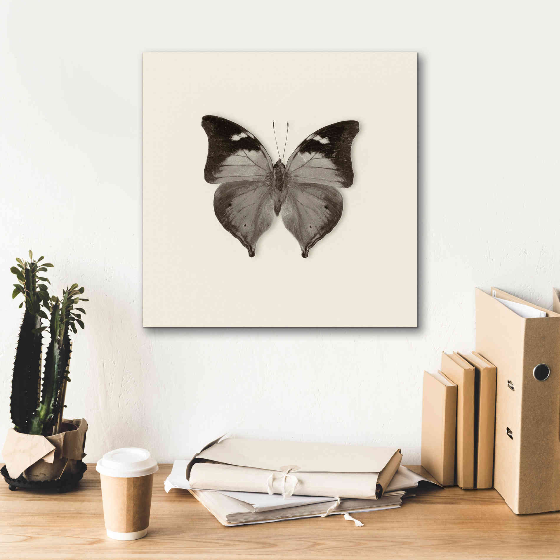 'Butterfly VII B&W' by Debra Van Swearingen, Canvas Wall Art,18 x 18