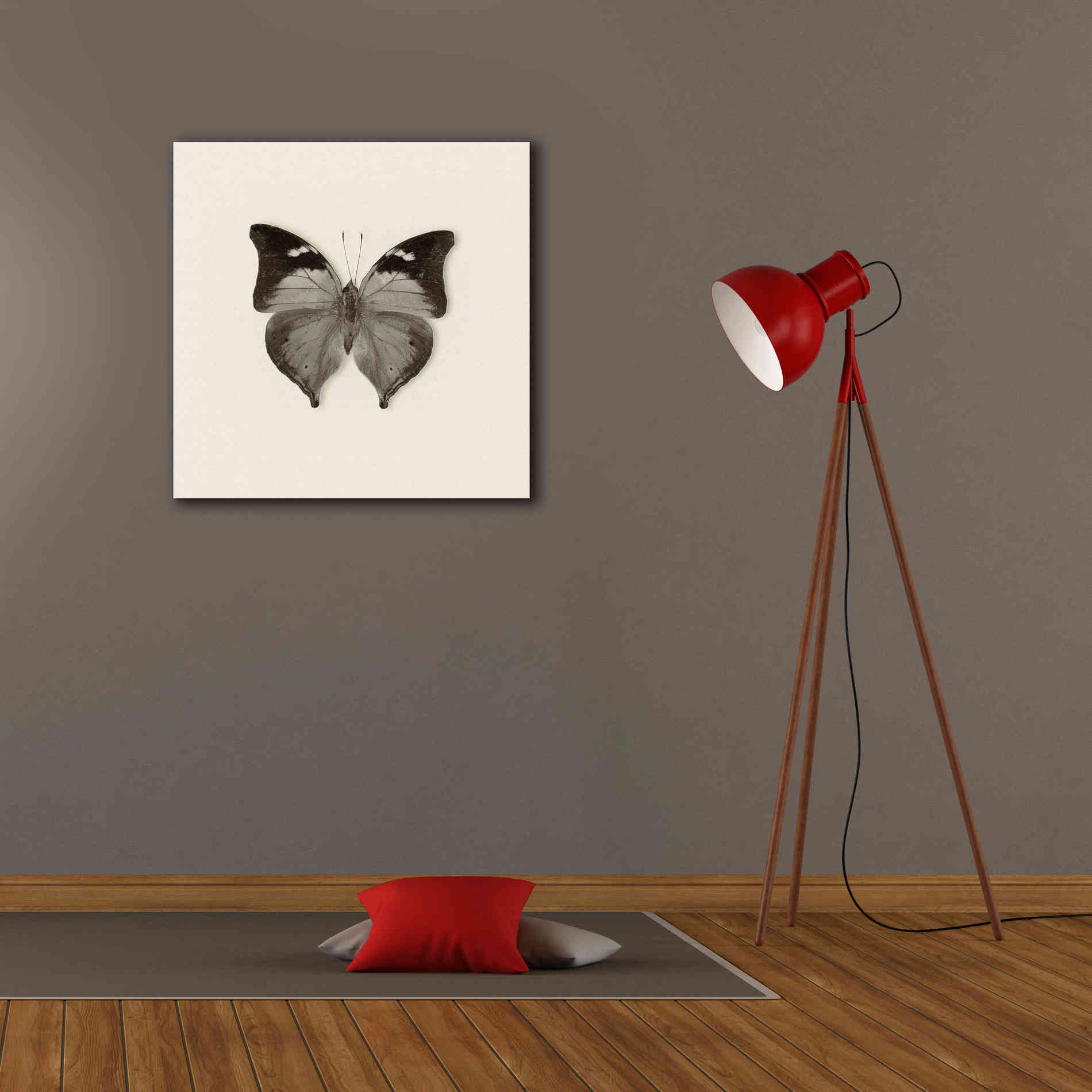 'Butterfly VII B&W' by Debra Van Swearingen, Canvas Wall Art,26 x 26