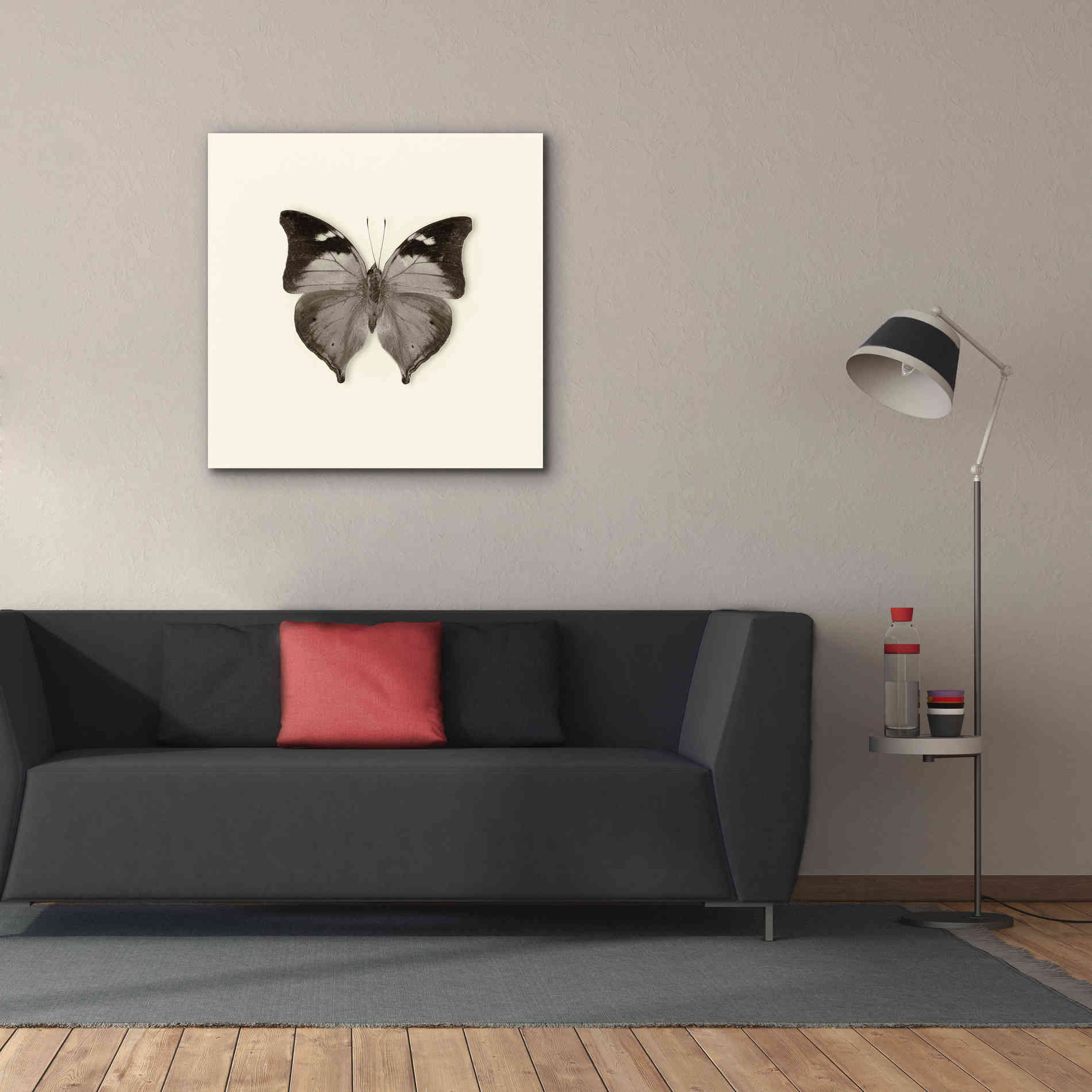 'Butterfly VII B&W' by Debra Van Swearingen, Canvas Wall Art,37 x 37