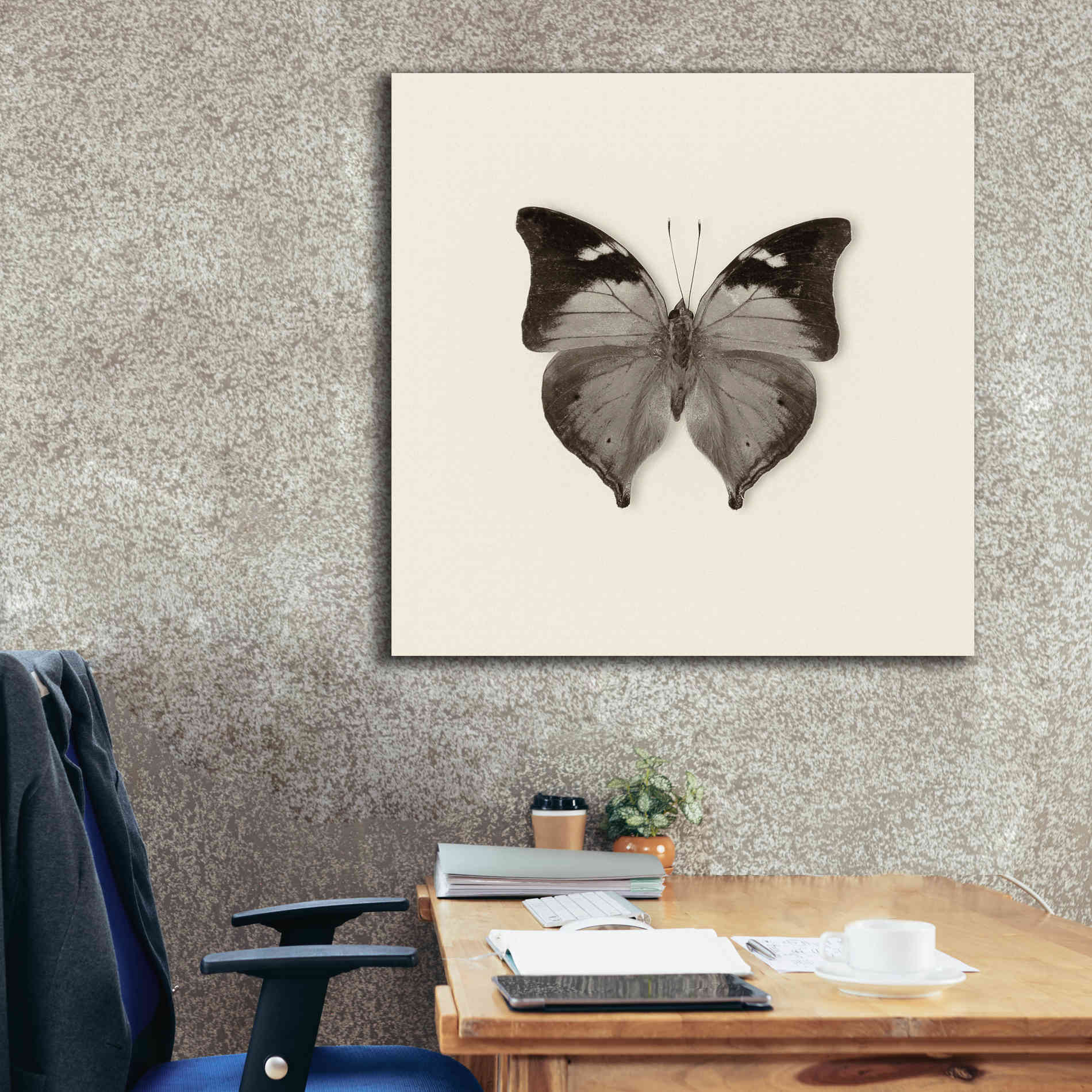 'Butterfly VII B&W' by Debra Van Swearingen, Canvas Wall Art,37 x 37