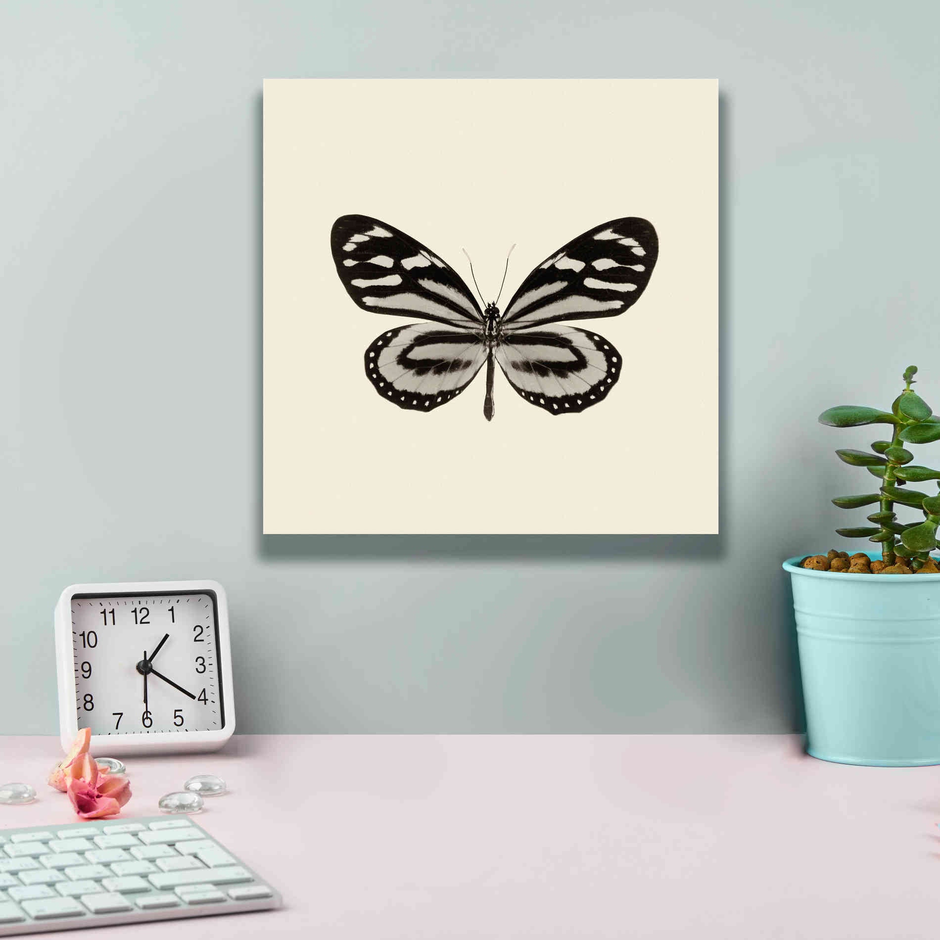 'Butterfly VIII B&W' by Debra Van Swearingen, Canvas Wall Art,12 x 12