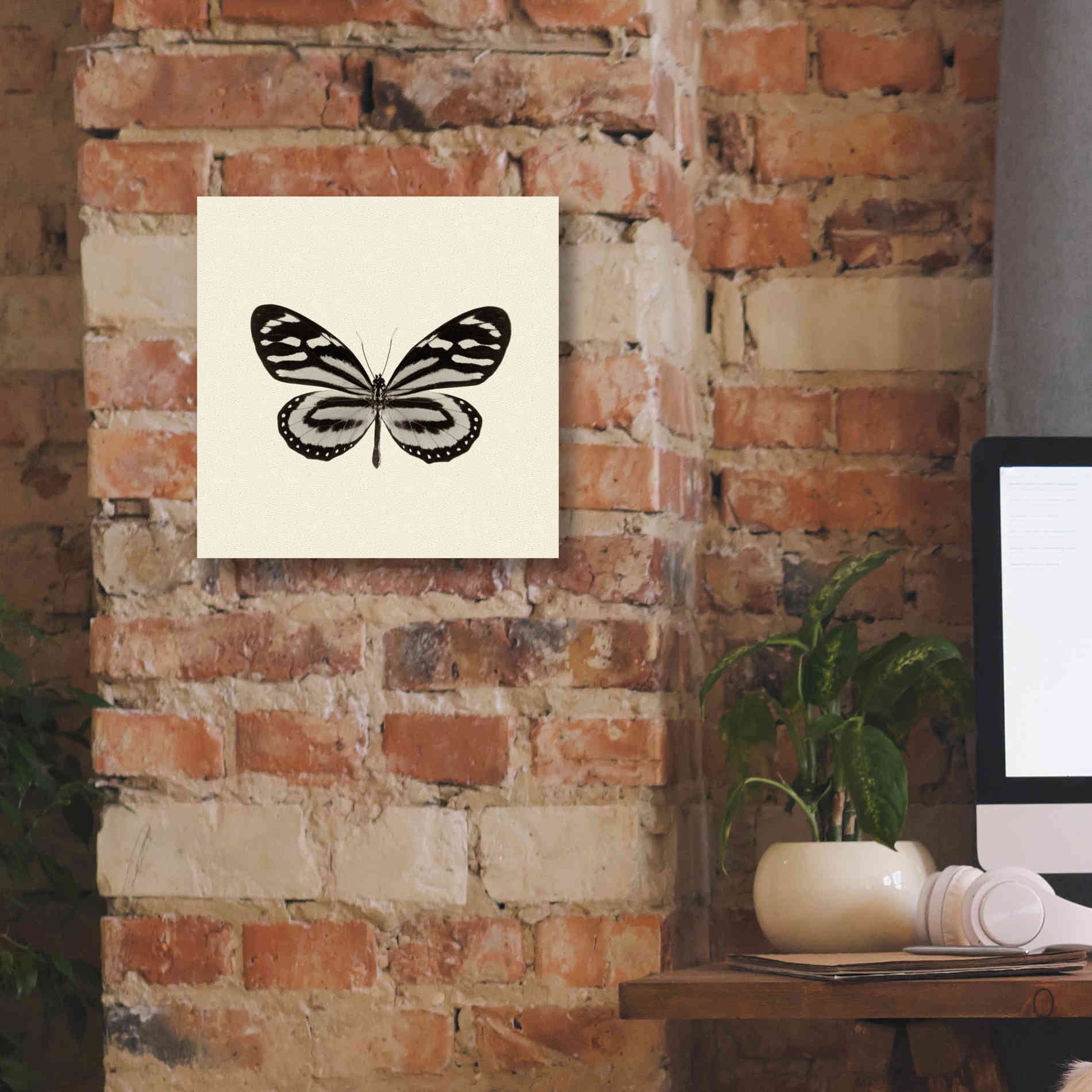 'Butterfly VIII B&W' by Debra Van Swearingen, Canvas Wall Art,12 x 12