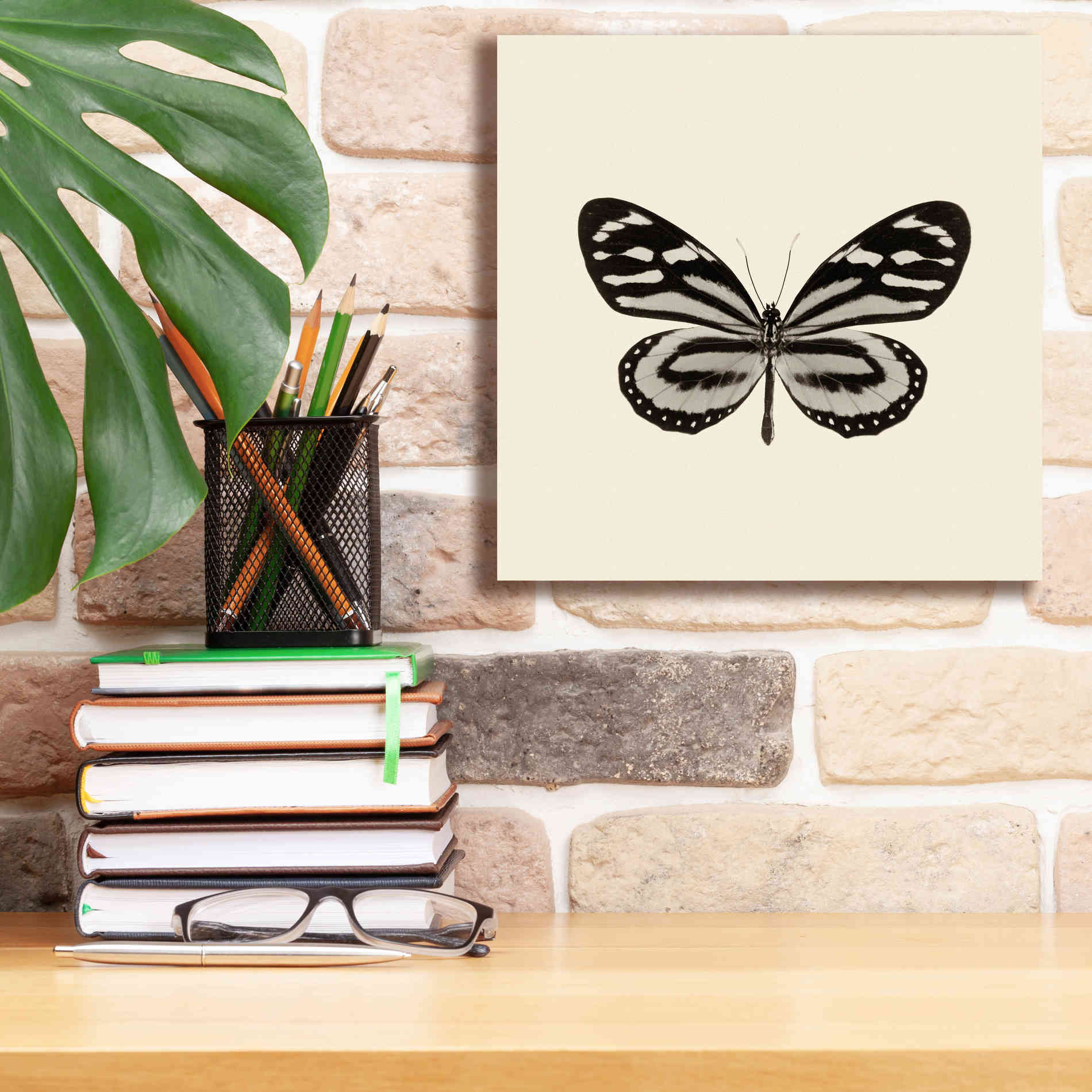 'Butterfly VIII B&W' by Debra Van Swearingen, Canvas Wall Art,12 x 12