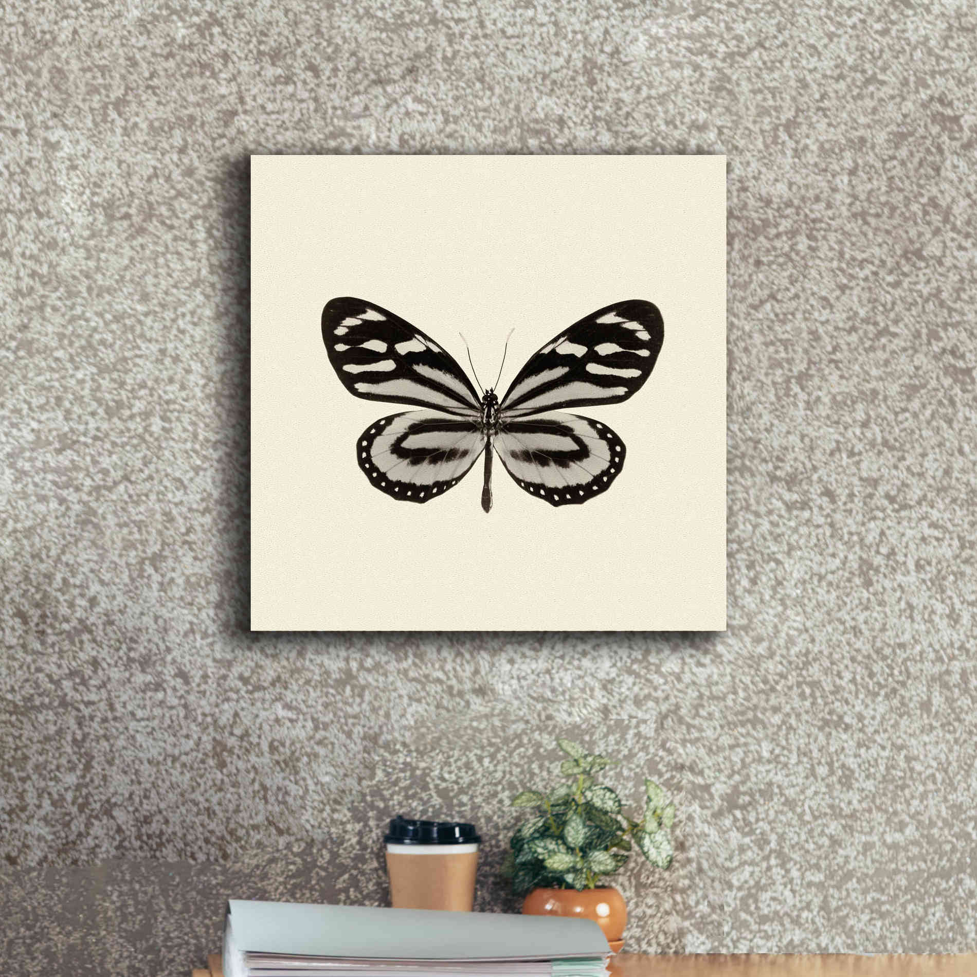 'Butterfly VIII B&W' by Debra Van Swearingen, Canvas Wall Art,18 x 18