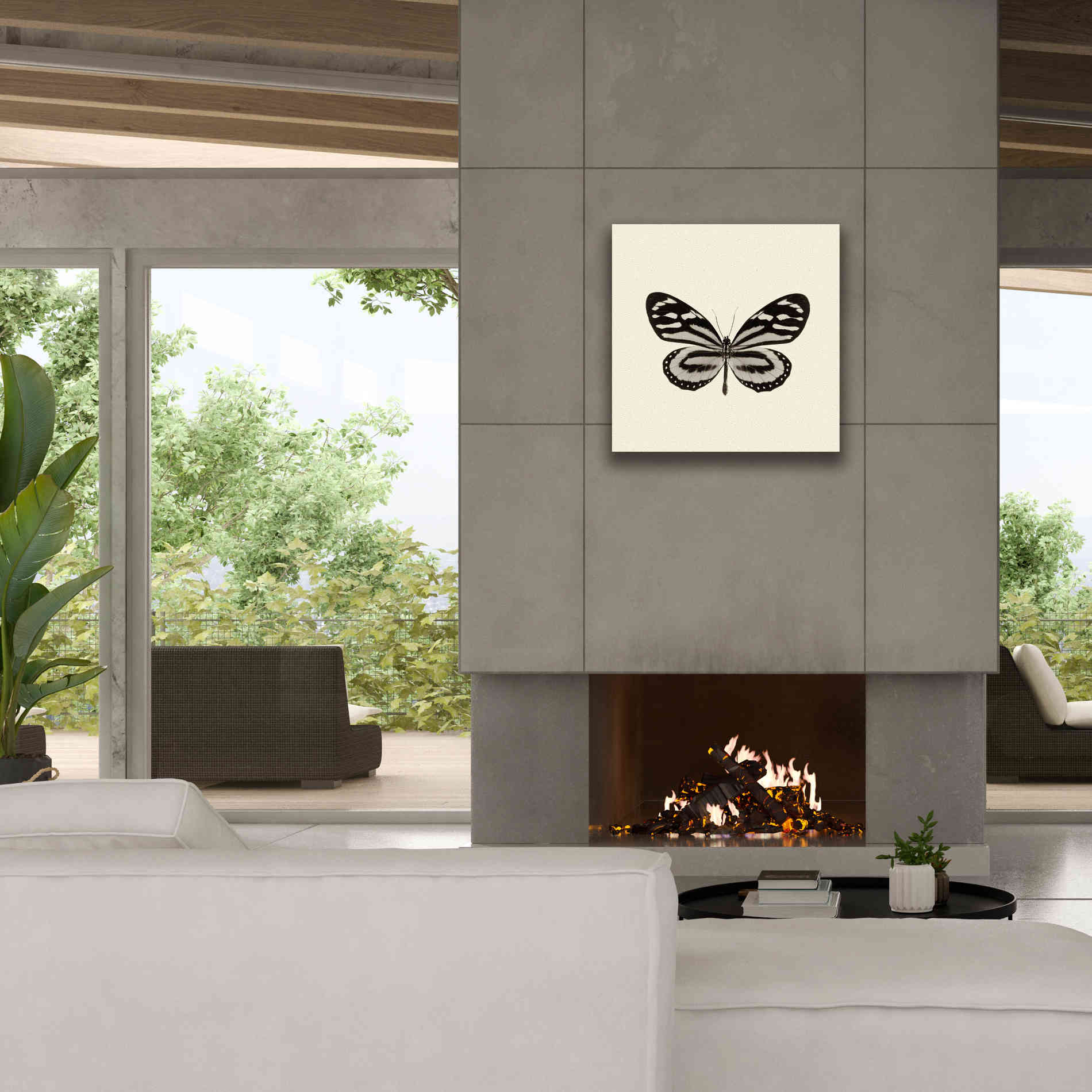 'Butterfly VIII B&W' by Debra Van Swearingen, Canvas Wall Art,26 x 26