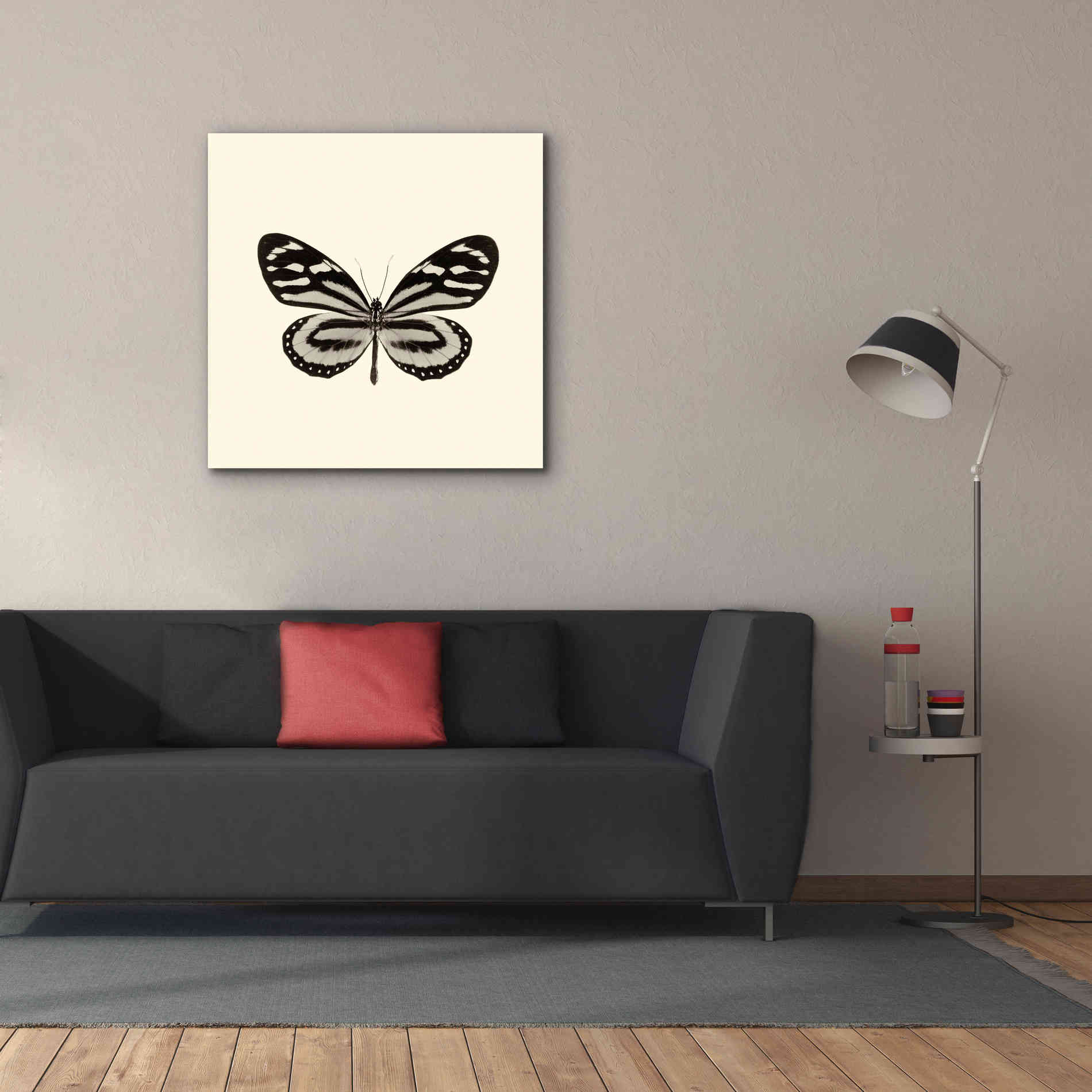 'Butterfly VIII B&W' by Debra Van Swearingen, Canvas Wall Art,37 x 37