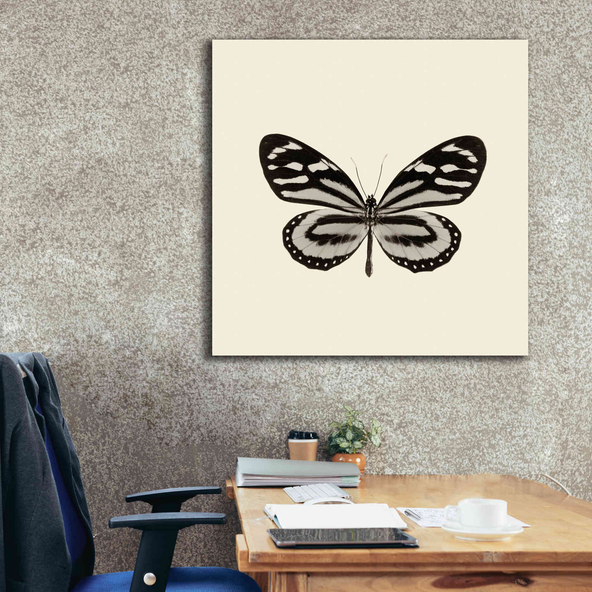 'Butterfly VIII B&W' by Debra Van Swearingen, Canvas Wall Art,37 x 37