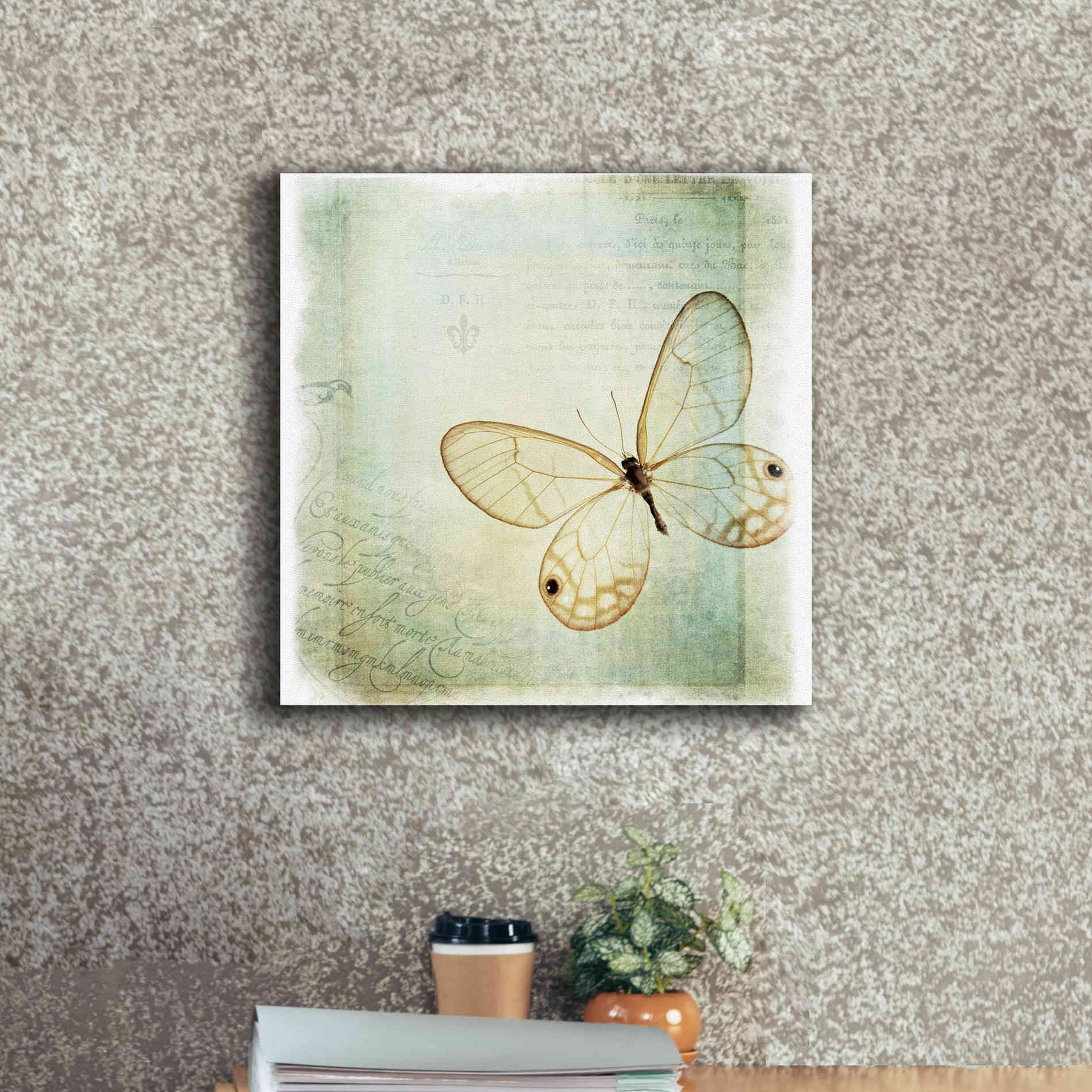 'Floating Butterfly I' by Debra Van Swearingen, Canvas Wall Art,18 x 18