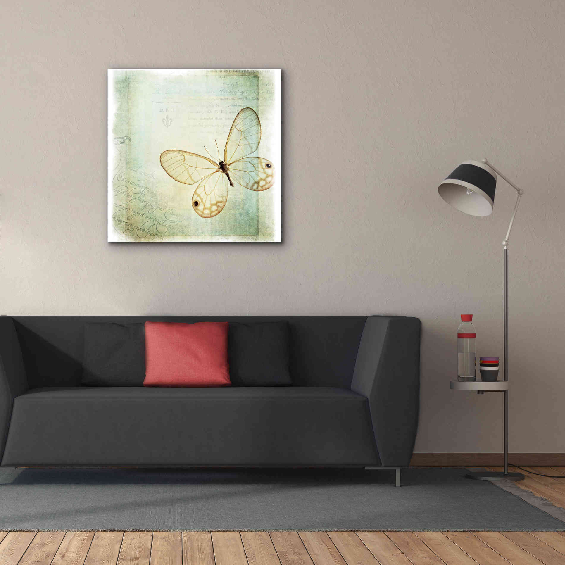 'Floating Butterfly I' by Debra Van Swearingen, Canvas Wall Art,37 x 37