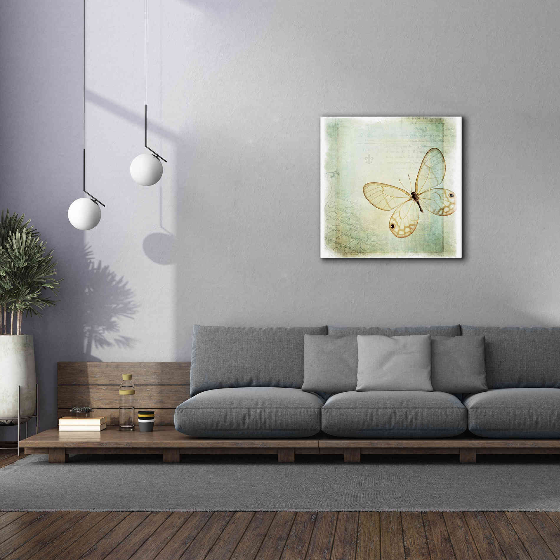 'Floating Butterfly I' by Debra Van Swearingen, Canvas Wall Art,37 x 37