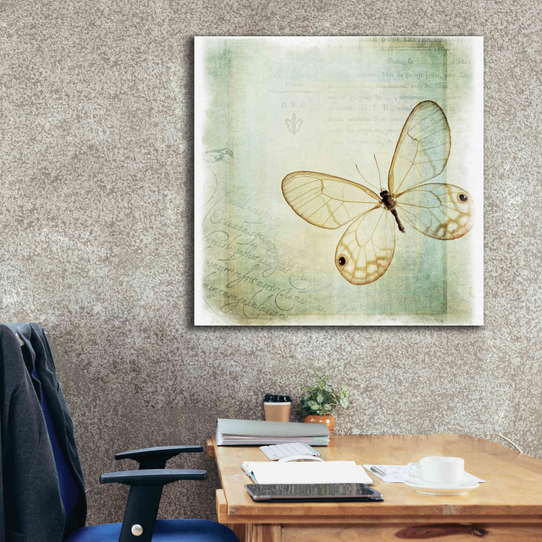 'Floating Butterfly I' by Debra Van Swearingen, Canvas Wall Art,37 x 37