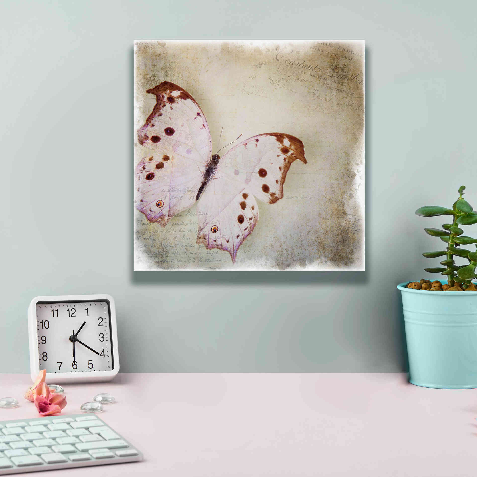 'Floating Butterfly II' by Debra Van Swearingen, Canvas Wall Art,12 x 12