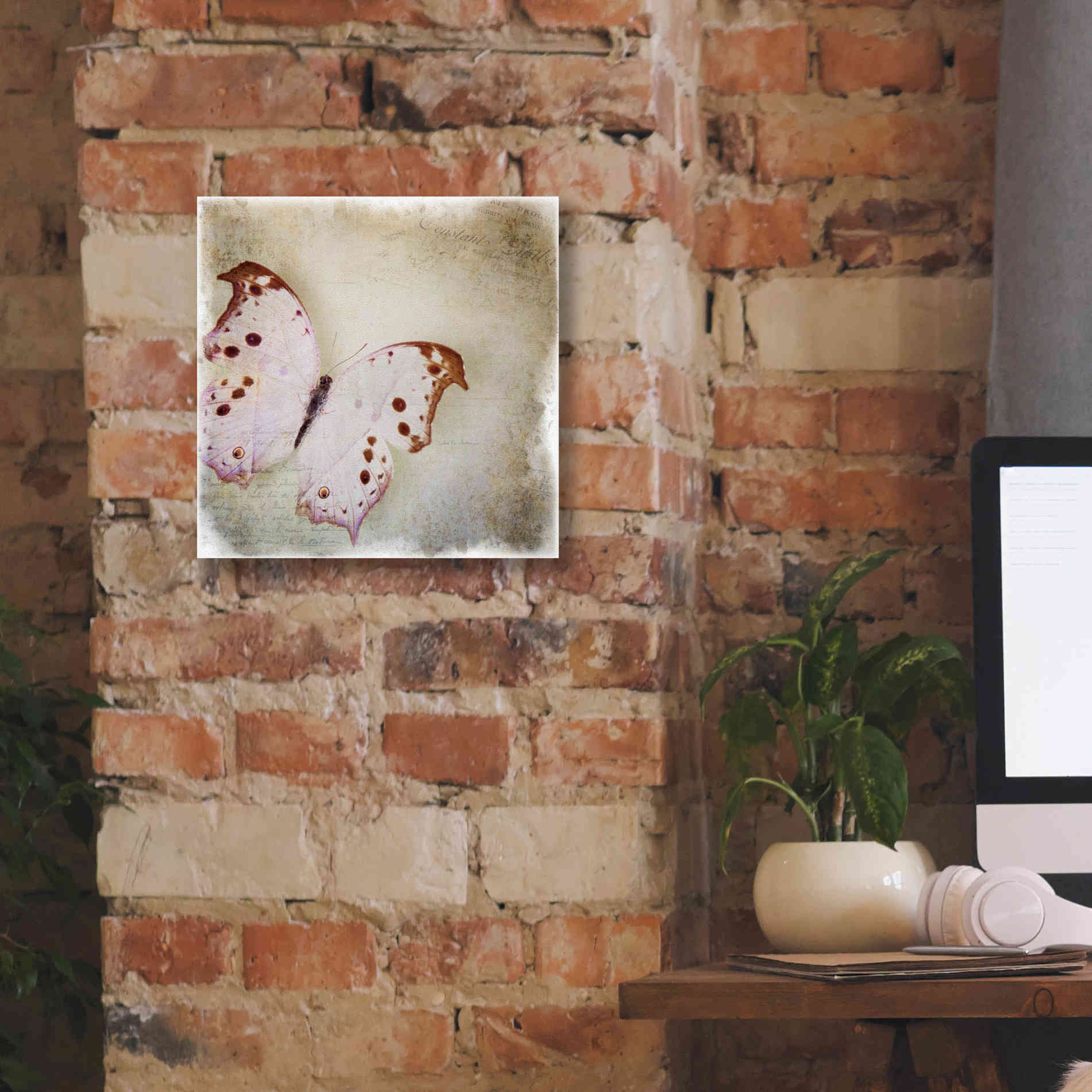 'Floating Butterfly II' by Debra Van Swearingen, Canvas Wall Art,12 x 12