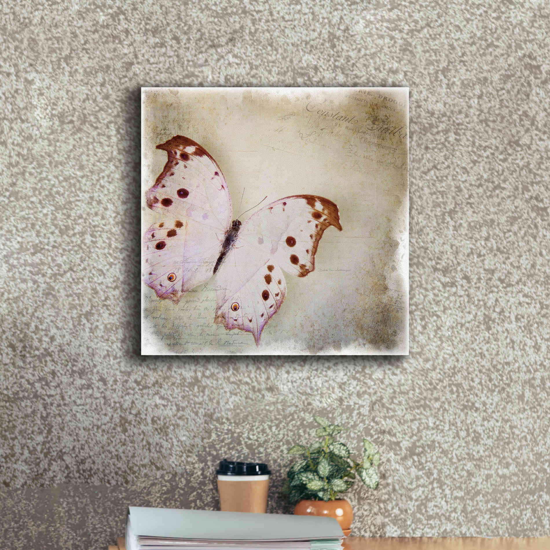 'Floating Butterfly II' by Debra Van Swearingen, Canvas Wall Art,18 x 18