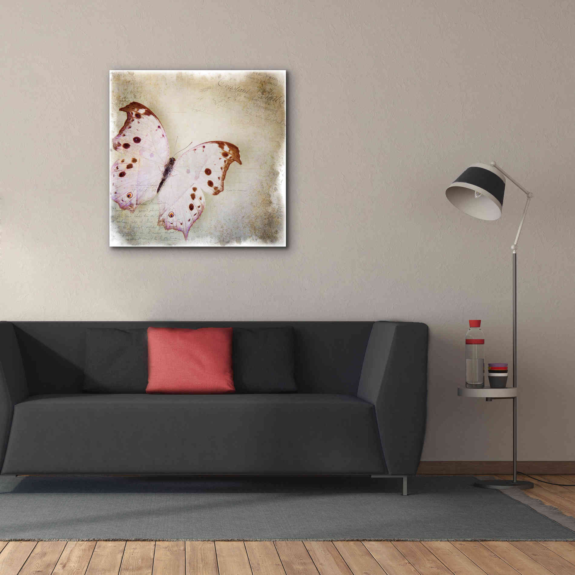 'Floating Butterfly II' by Debra Van Swearingen, Canvas Wall Art,37 x 37