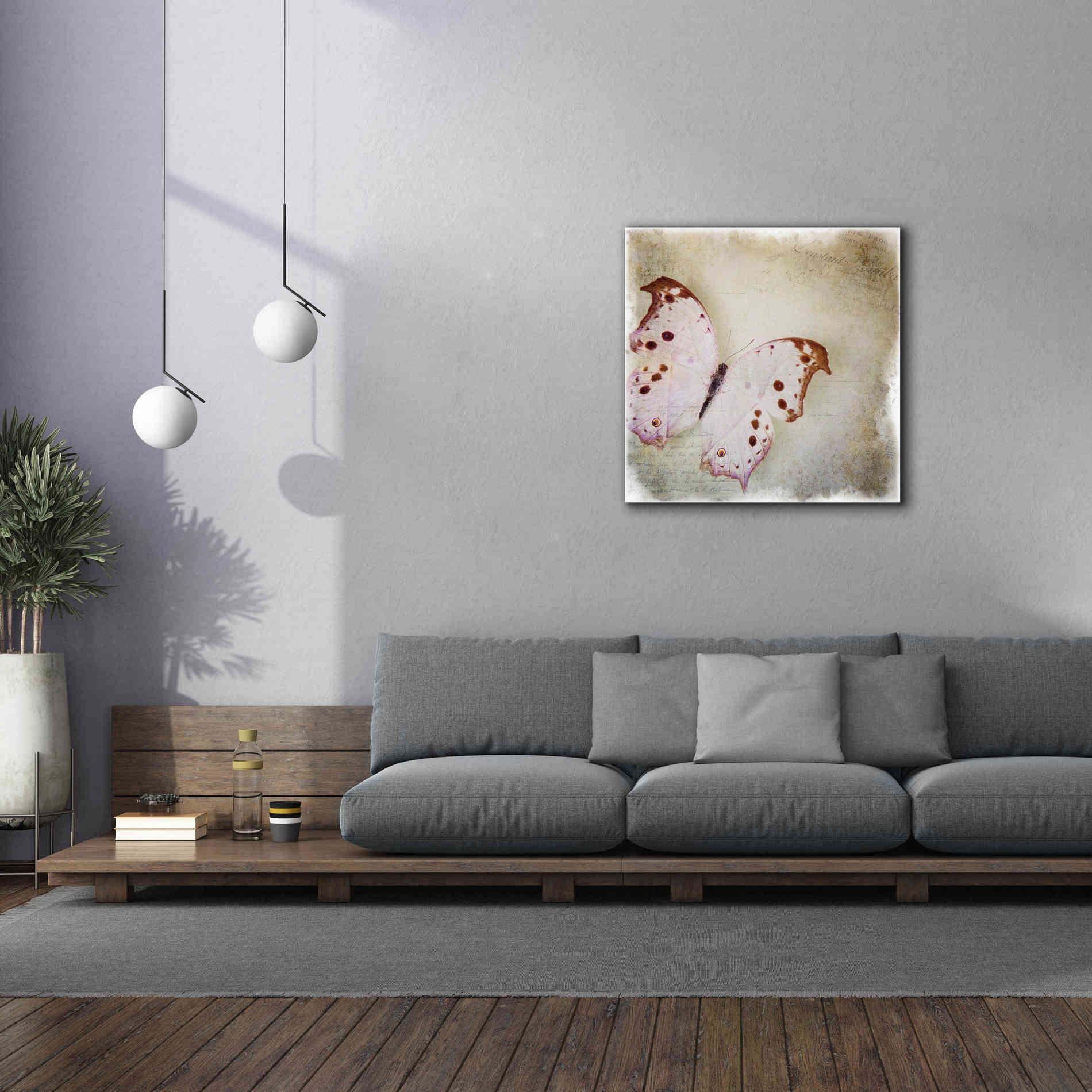 'Floating Butterfly II' by Debra Van Swearingen, Canvas Wall Art,37 x 37
