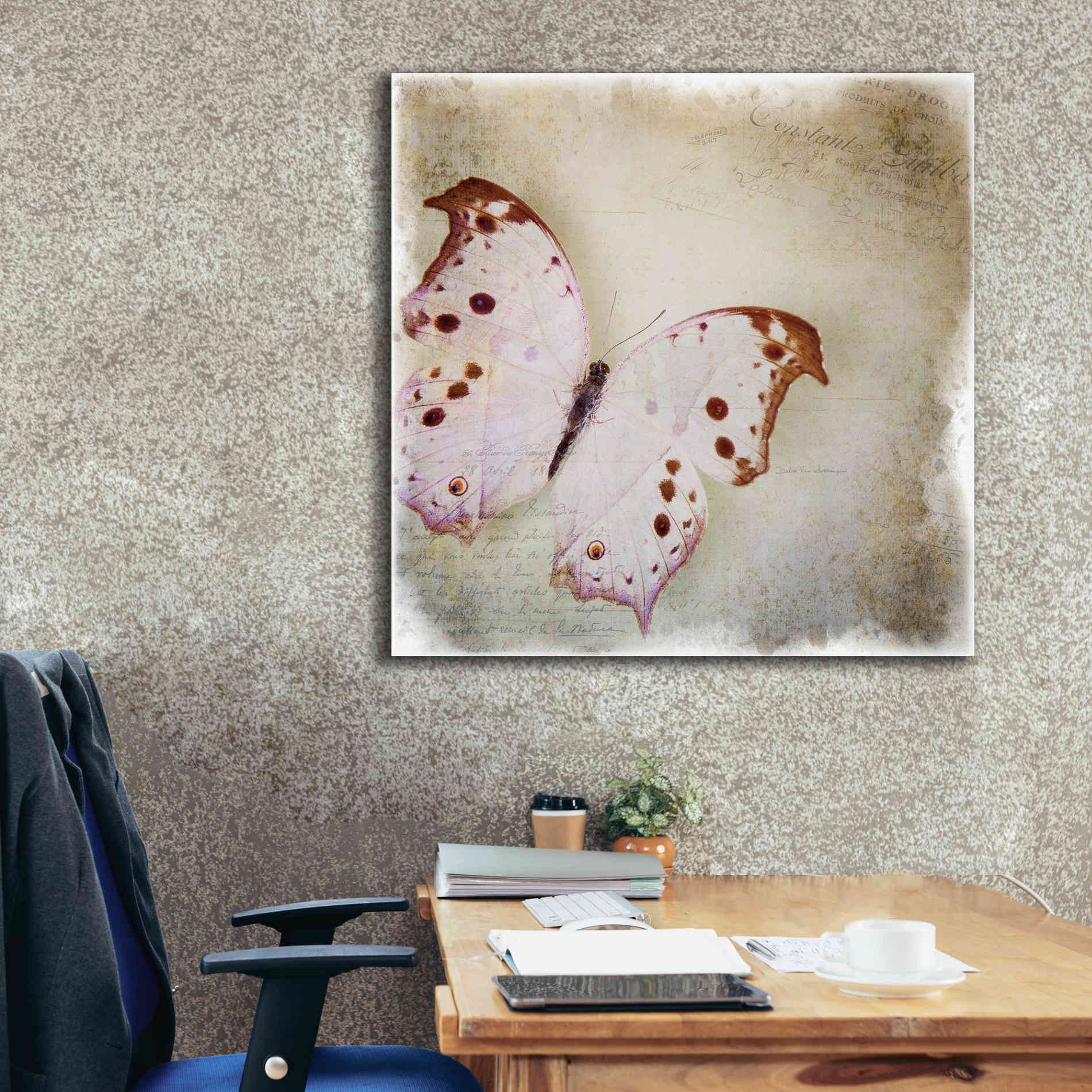 'Floating Butterfly II' by Debra Van Swearingen, Canvas Wall Art,37 x 37