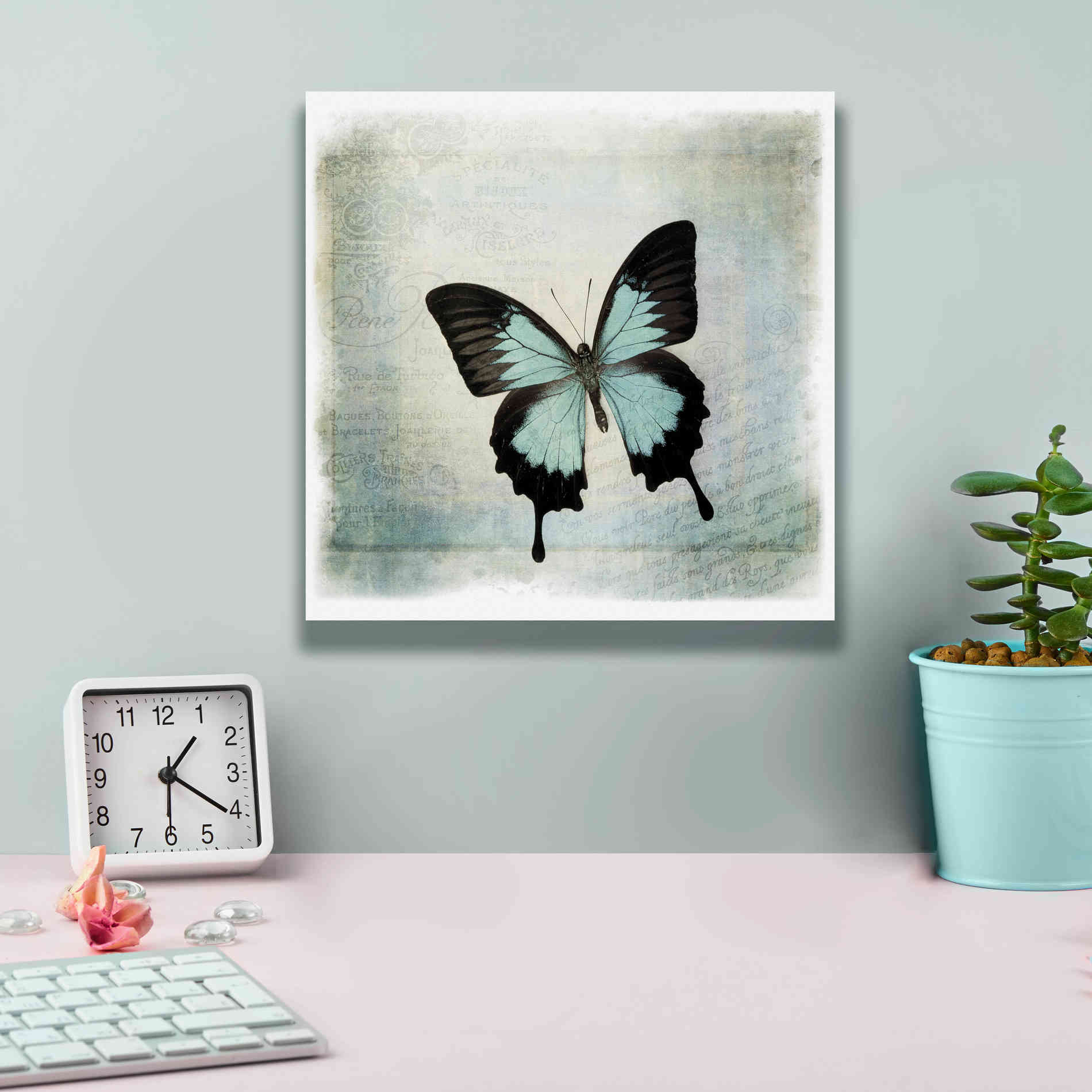 'Floating Butterfly III' by Debra Van Swearingen, Canvas Wall Art,12 x 12