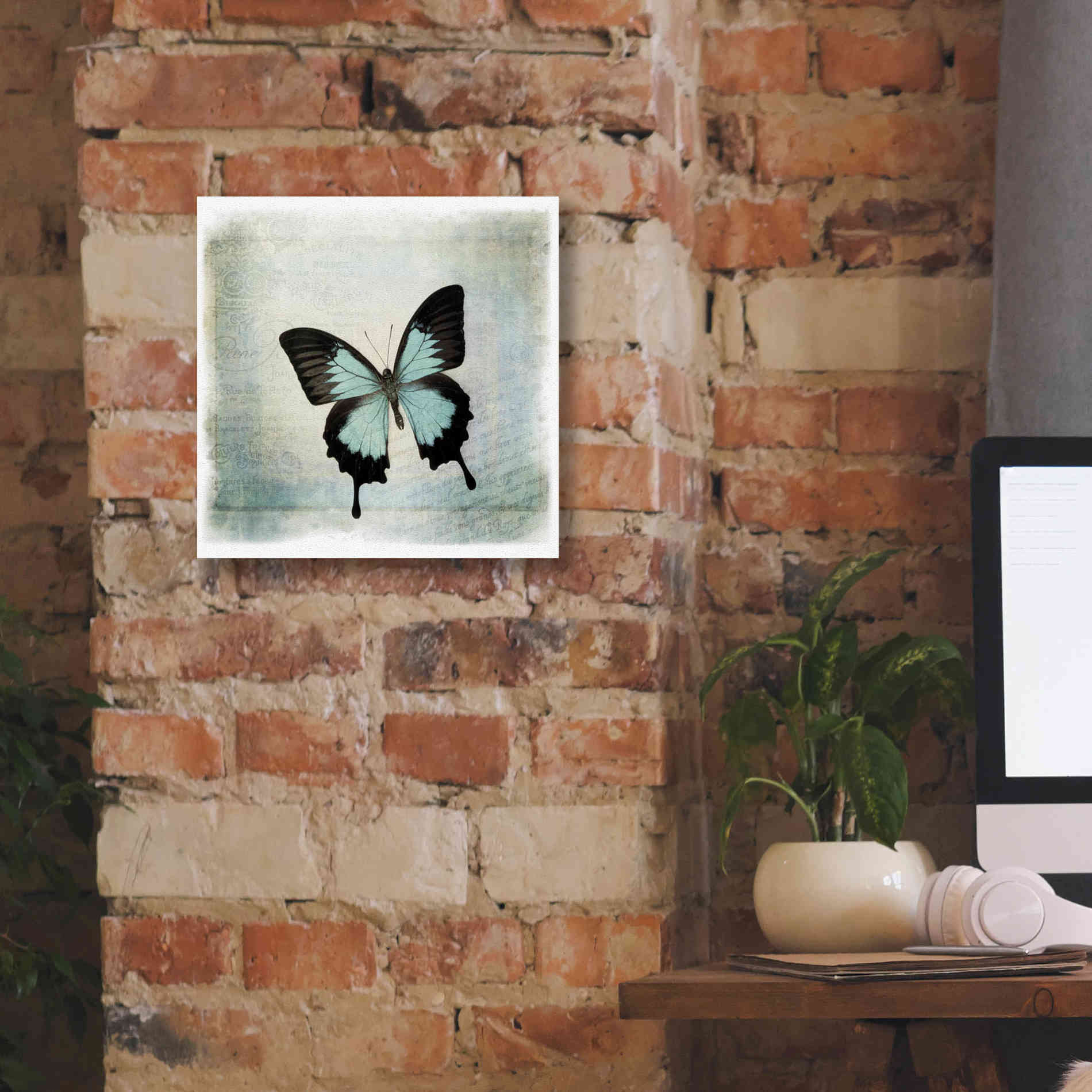'Floating Butterfly III' by Debra Van Swearingen, Canvas Wall Art,12 x 12