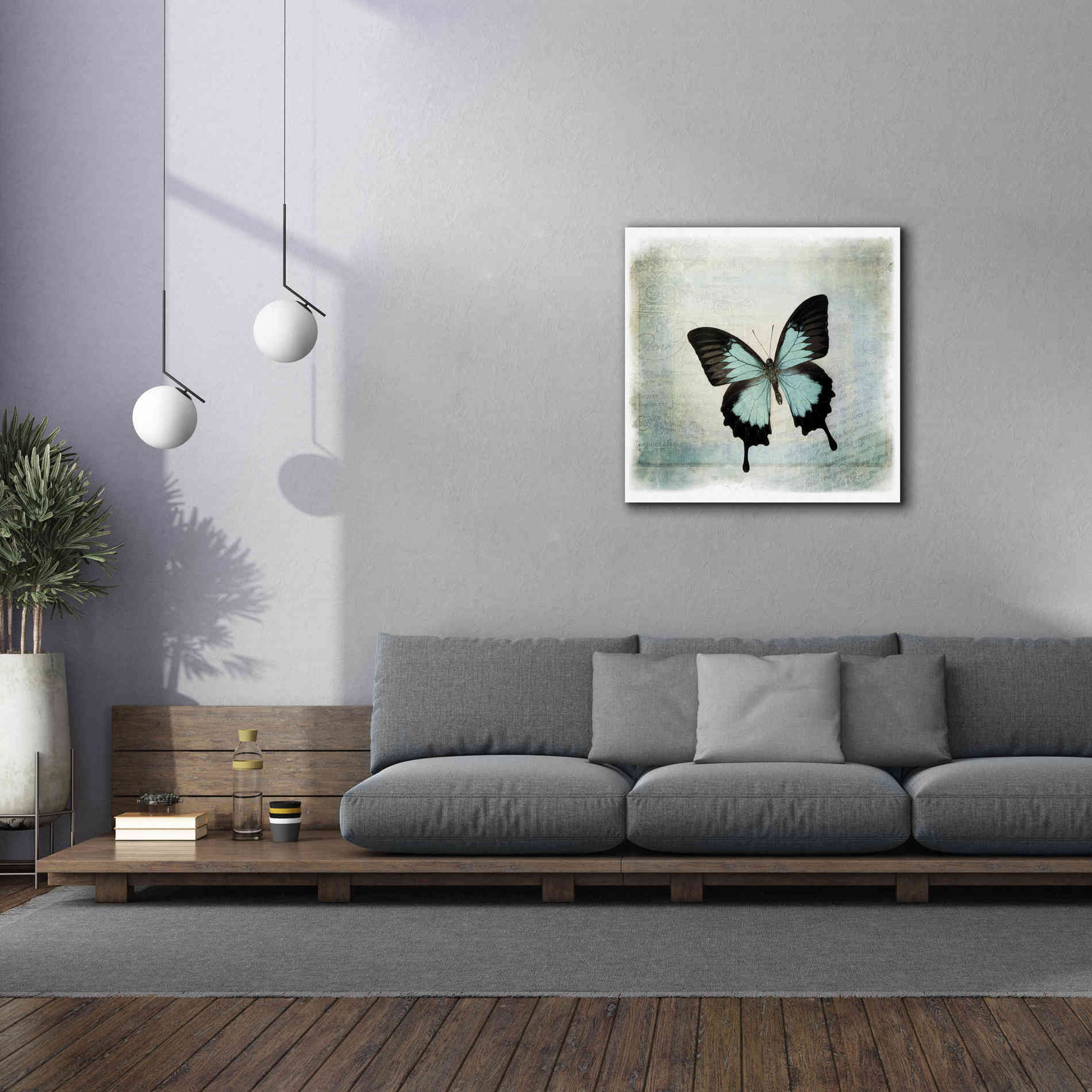 'Floating Butterfly III' by Debra Van Swearingen, Canvas Wall Art,37 x 37
