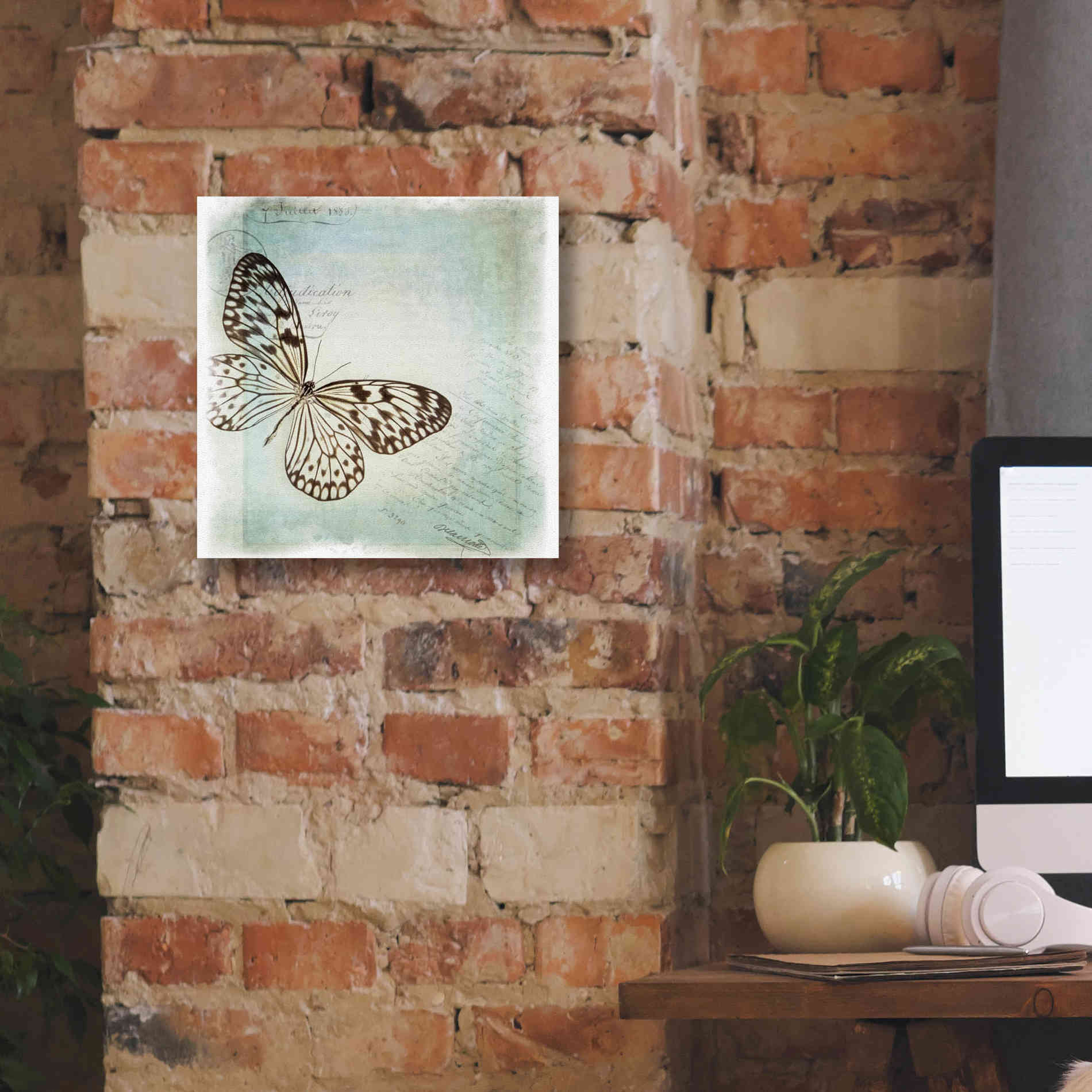 'Floating Butterfly IV' by Debra Van Swearingen, Canvas Wall Art,12 x 12