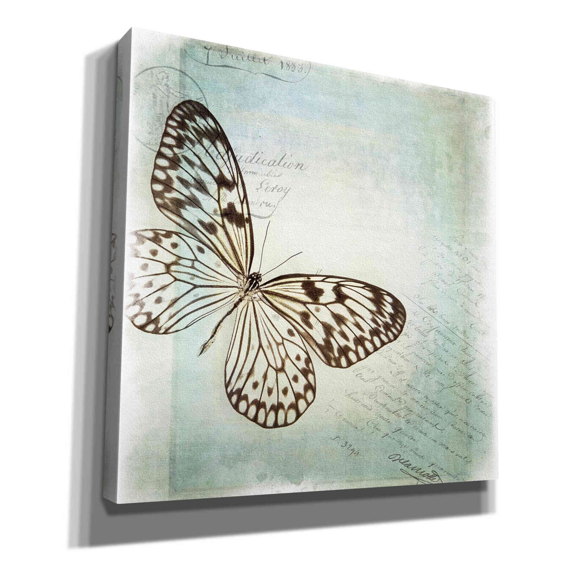 'Floating Butterfly IV' by Debra Van Swearingen, Canvas Wall Art,12x12x1.1x0,18x18x1.1x0,26x26x1.74x0,37x37x1.74x0