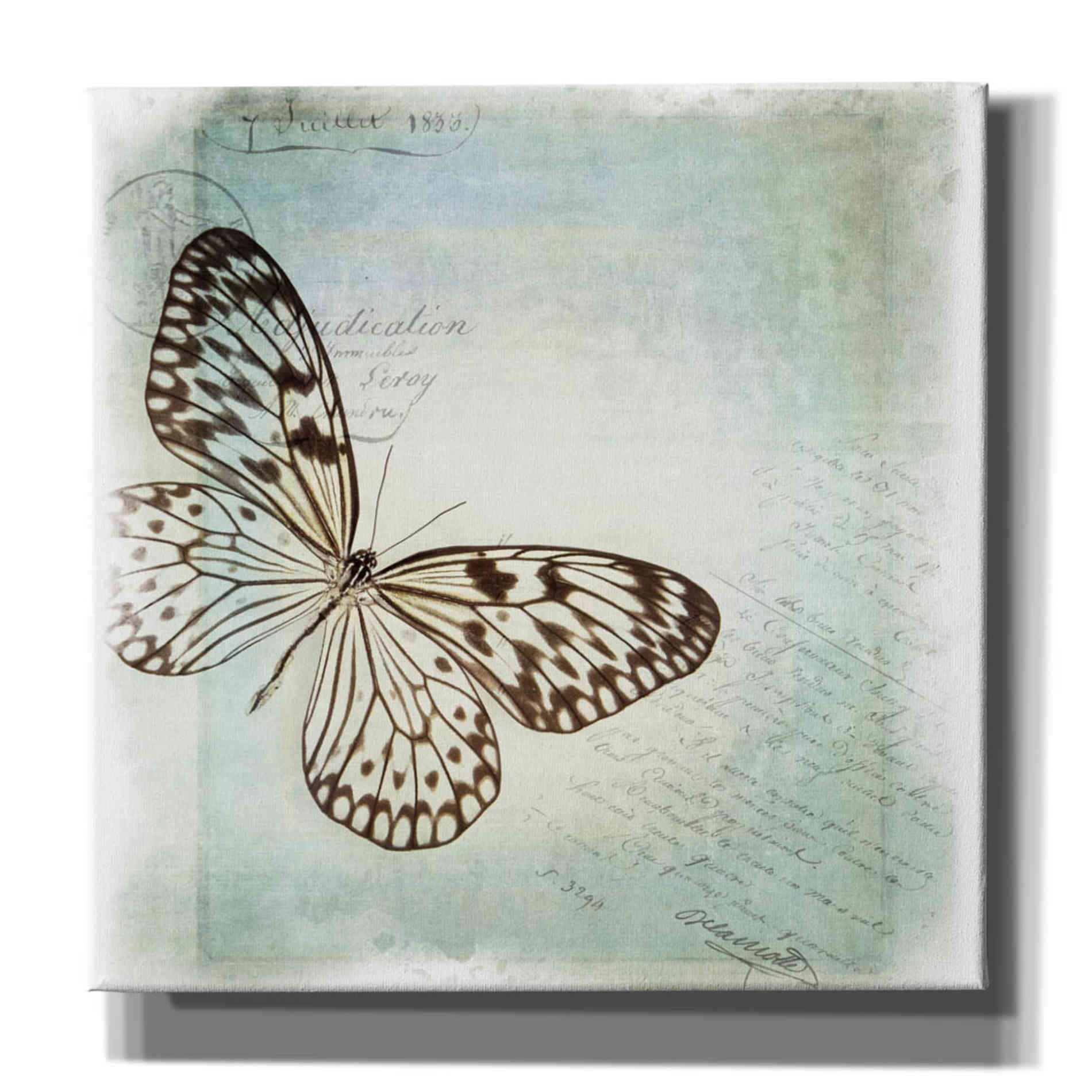 'Floating Butterfly IV' by Debra Van Swearingen, Canvas Wall Art,12x12x1.1x0,18x18x1.1x0,26x26x1.74x0,37x37x1.74x0