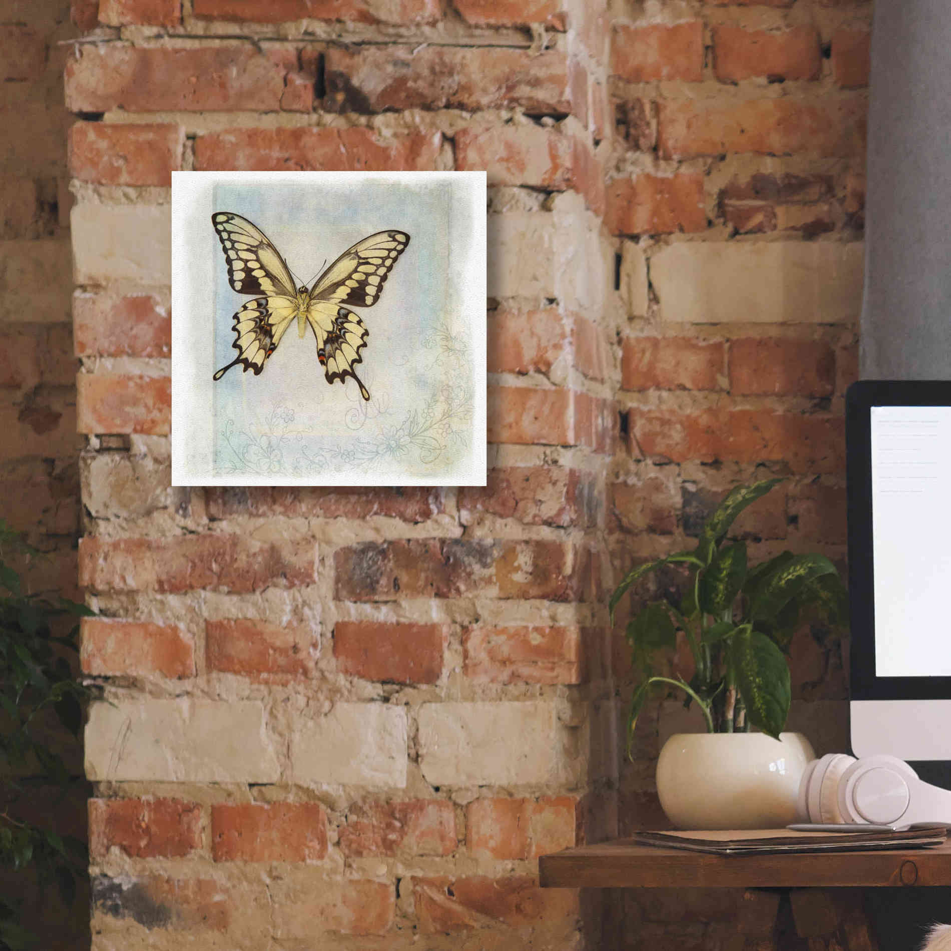 'Floating Butterfly V' by Debra Van Swearingen, Canvas Wall Art,12 x 12