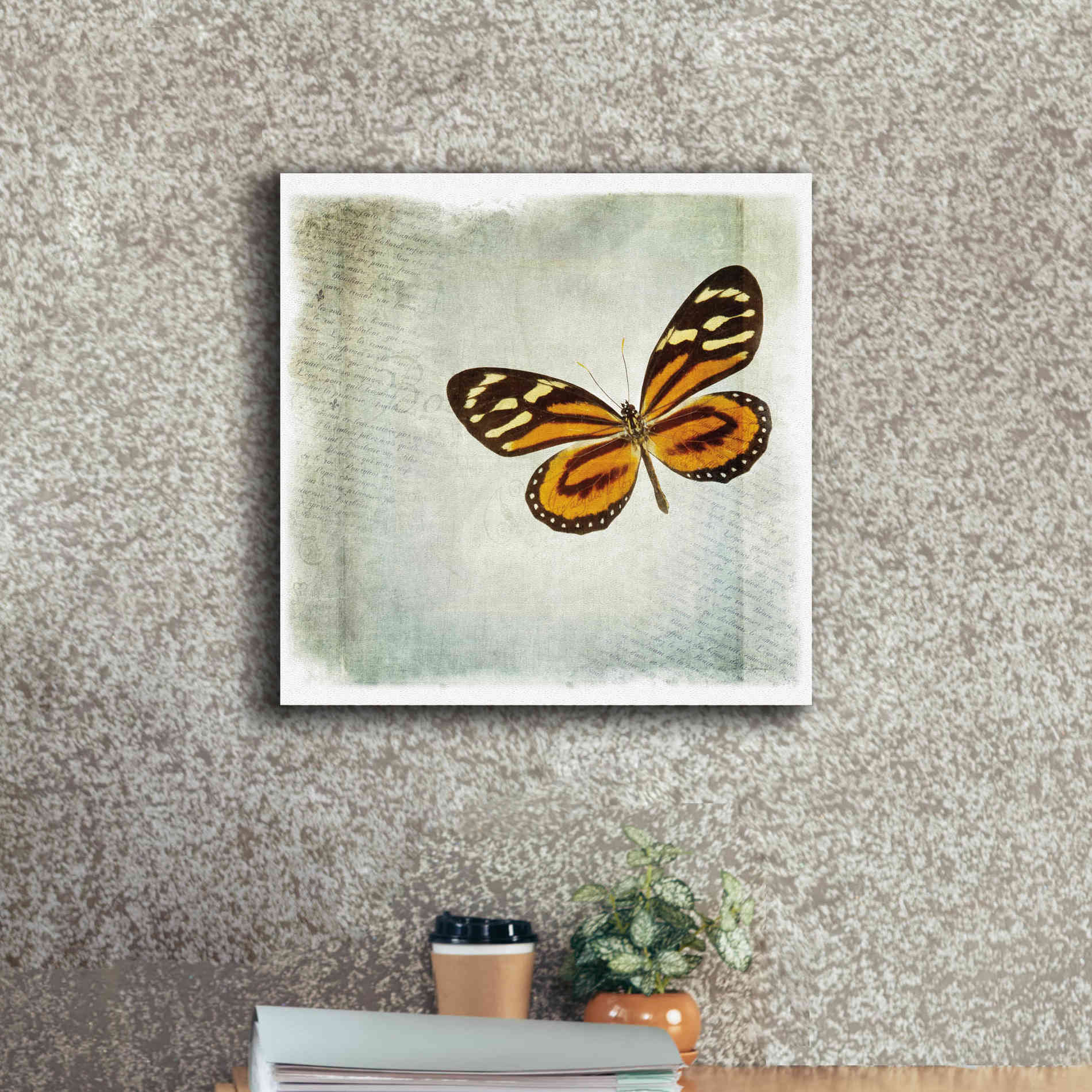 'Floating Butterfly VI' by Debra Van Swearingen, Canvas Wall Art,18 x 18