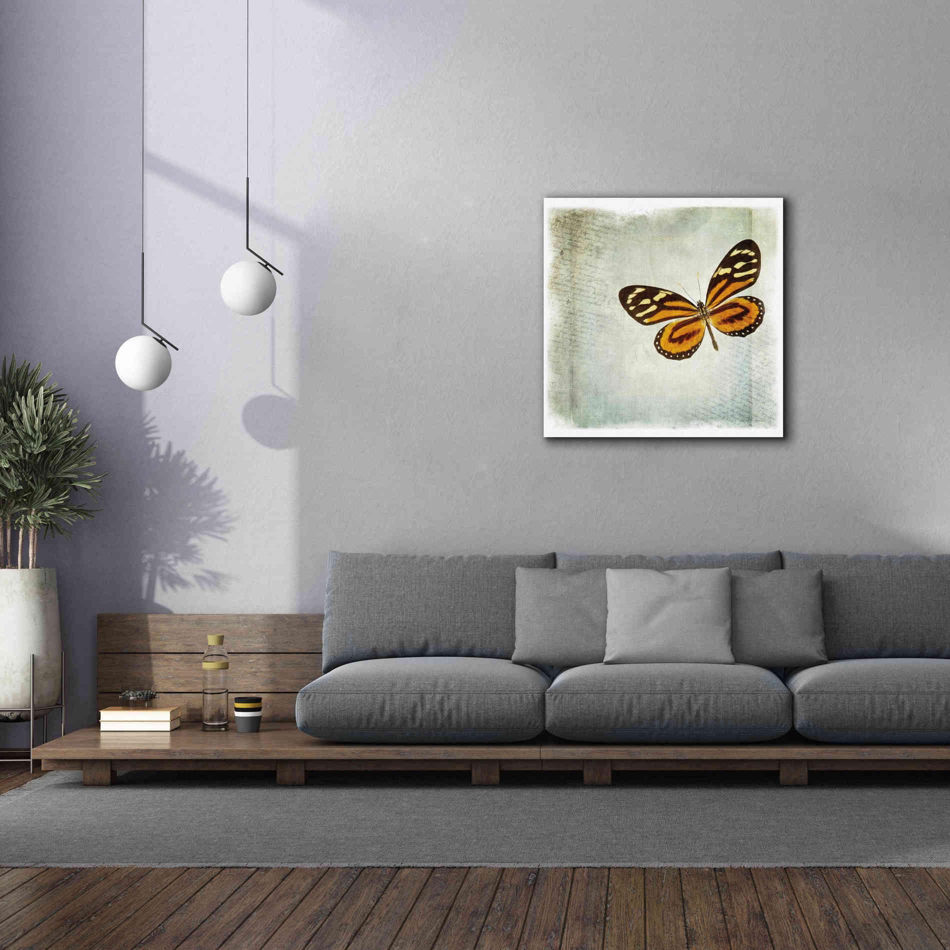 'Floating Butterfly VI' by Debra Van Swearingen, Canvas Wall Art,37 x 37
