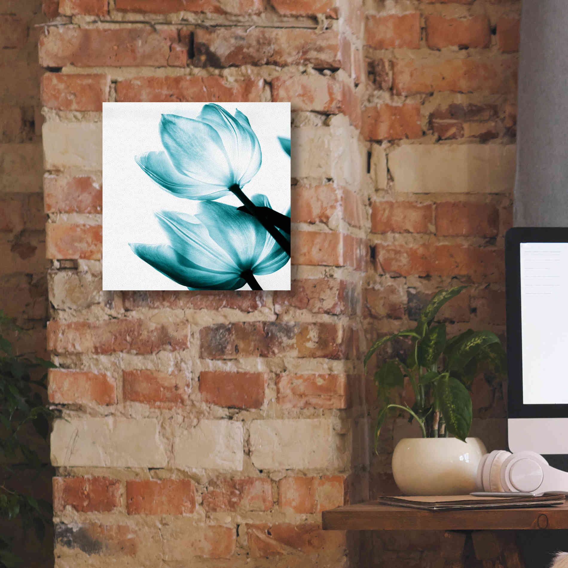 'Translucent Tulips II Teal' by Debra Van Swearingen, Canvas Wall Art,12 x 12