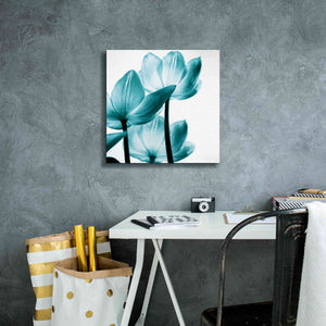 'Translucent Tulips III Teal' by Debra Van Swearingen, Canvas Wall Art,18 x 18