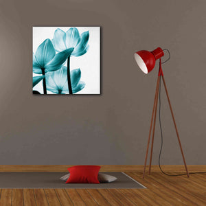 'Translucent Tulips III Teal' by Debra Van Swearingen, Canvas Wall Art,26 x 26